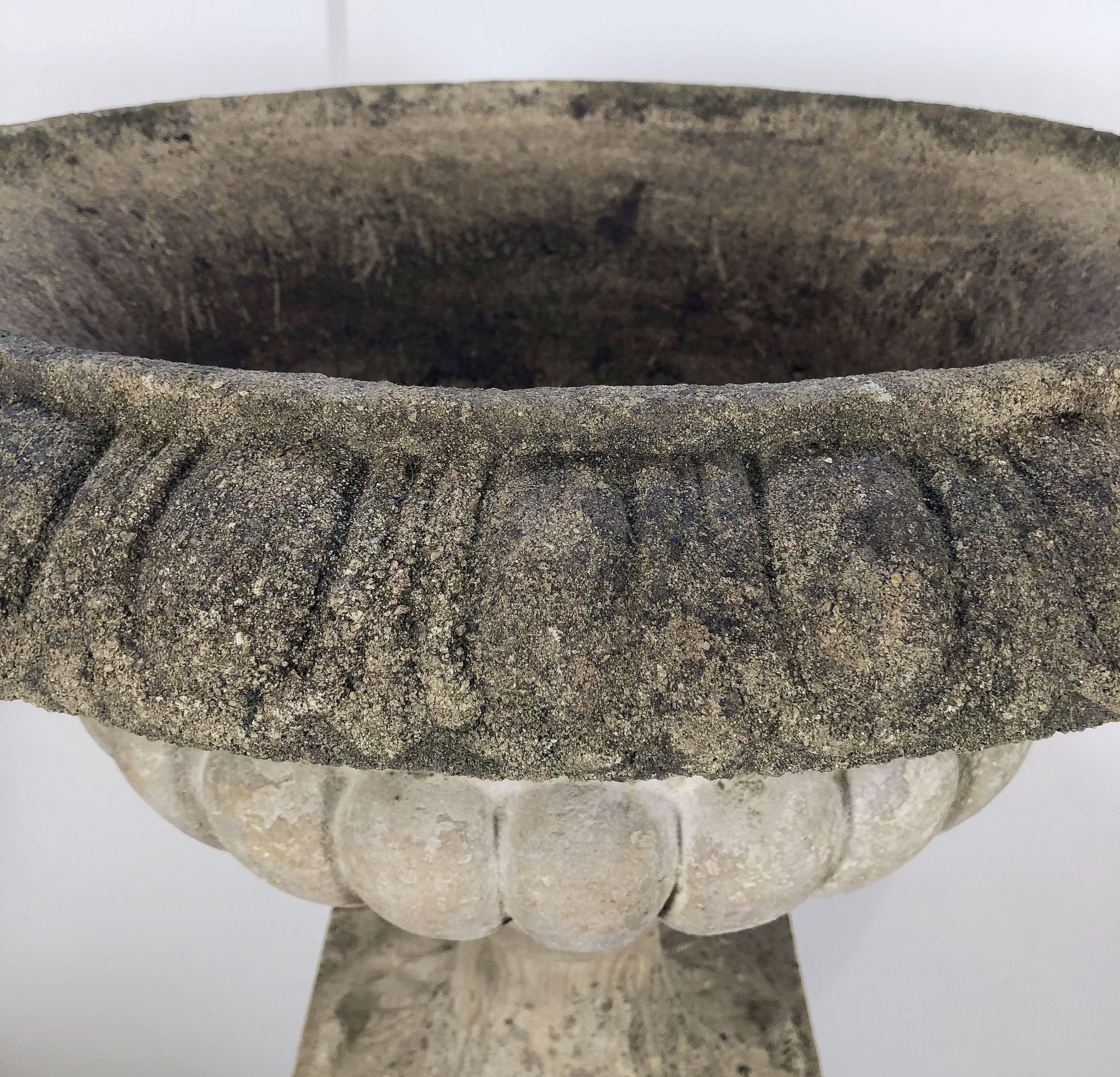 Large English Garden Stone Urn or Planter Pot on Plinth or Pedestal 10