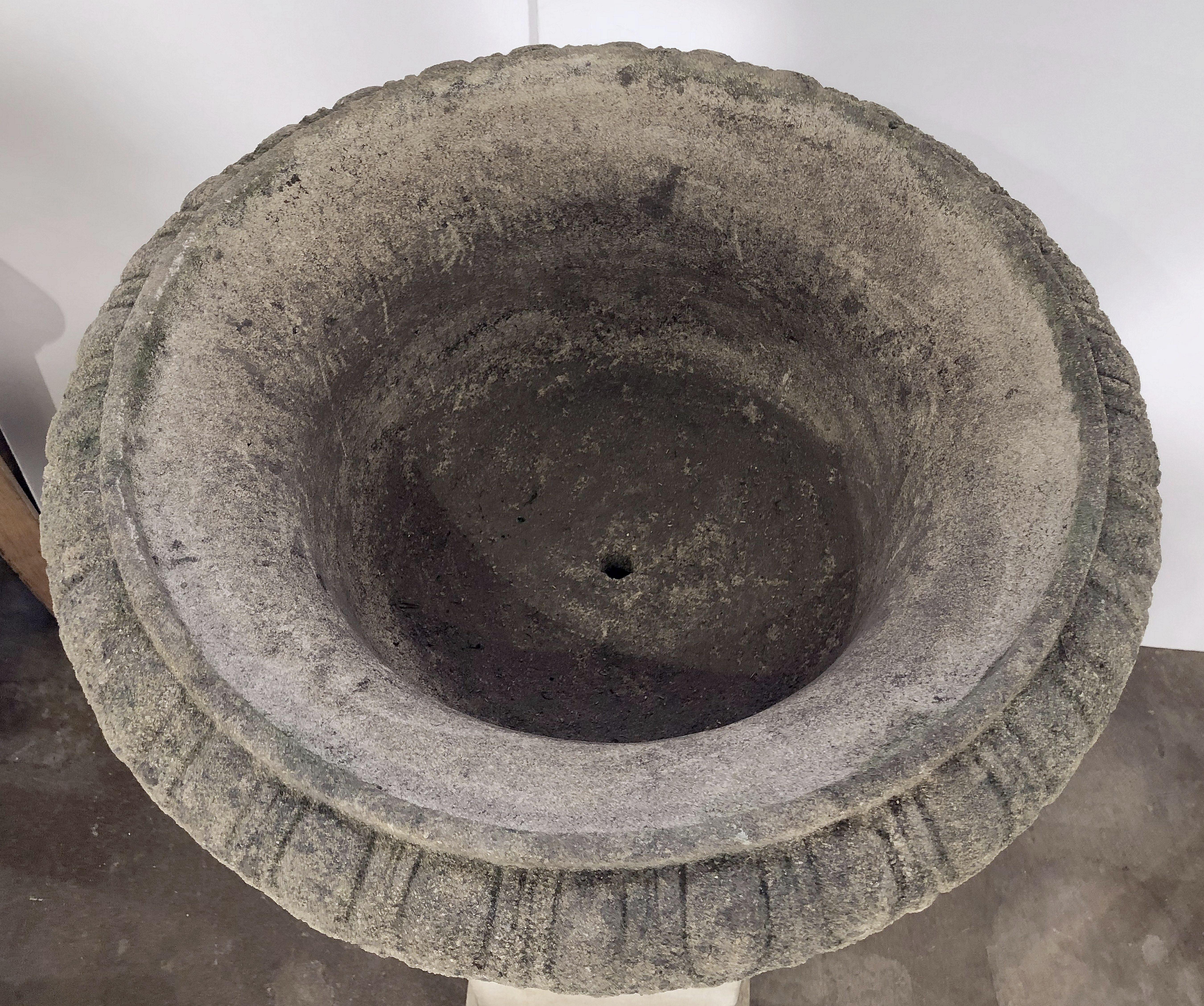 Large English Garden Stone Urn or Planter Pot on Plinth or Pedestal 11
