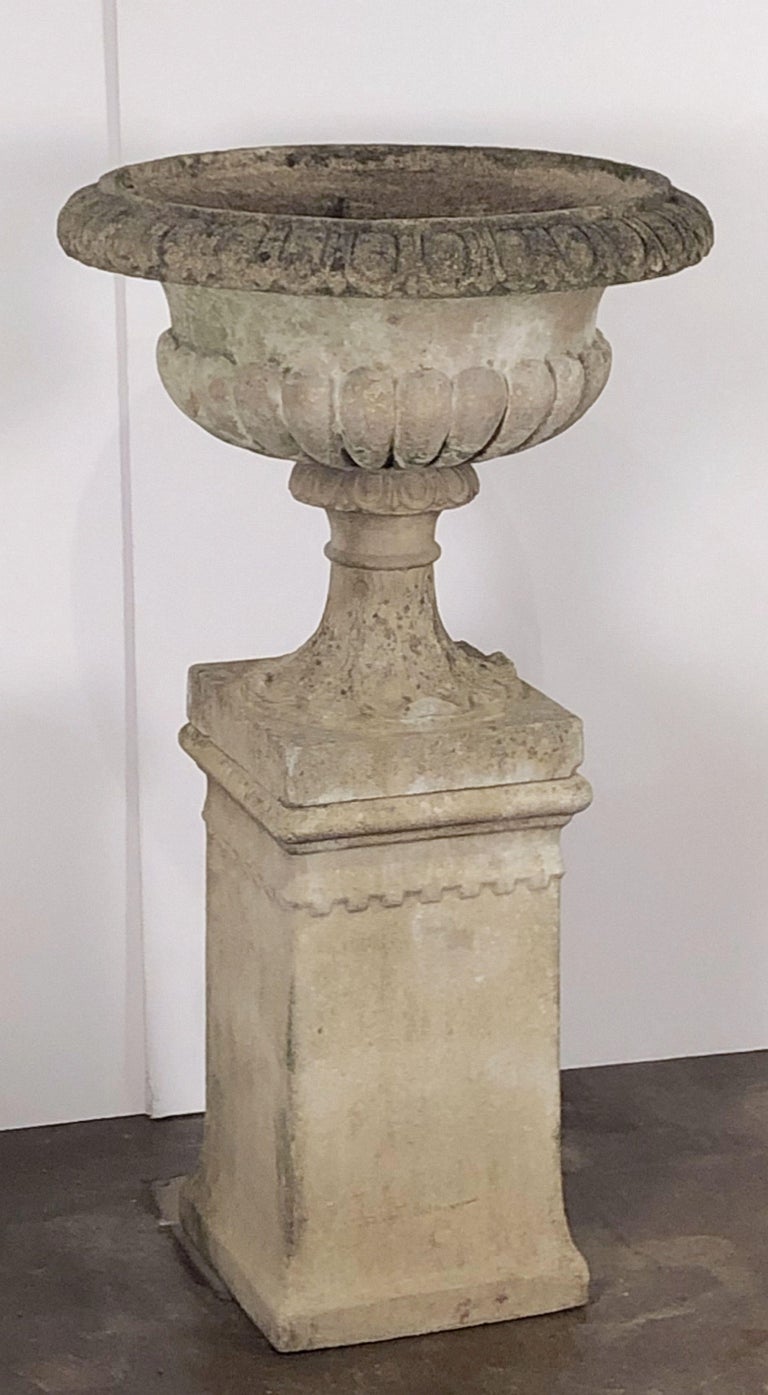 Large English Garden Stone Planter or Urn on Plinth or Pedestal For