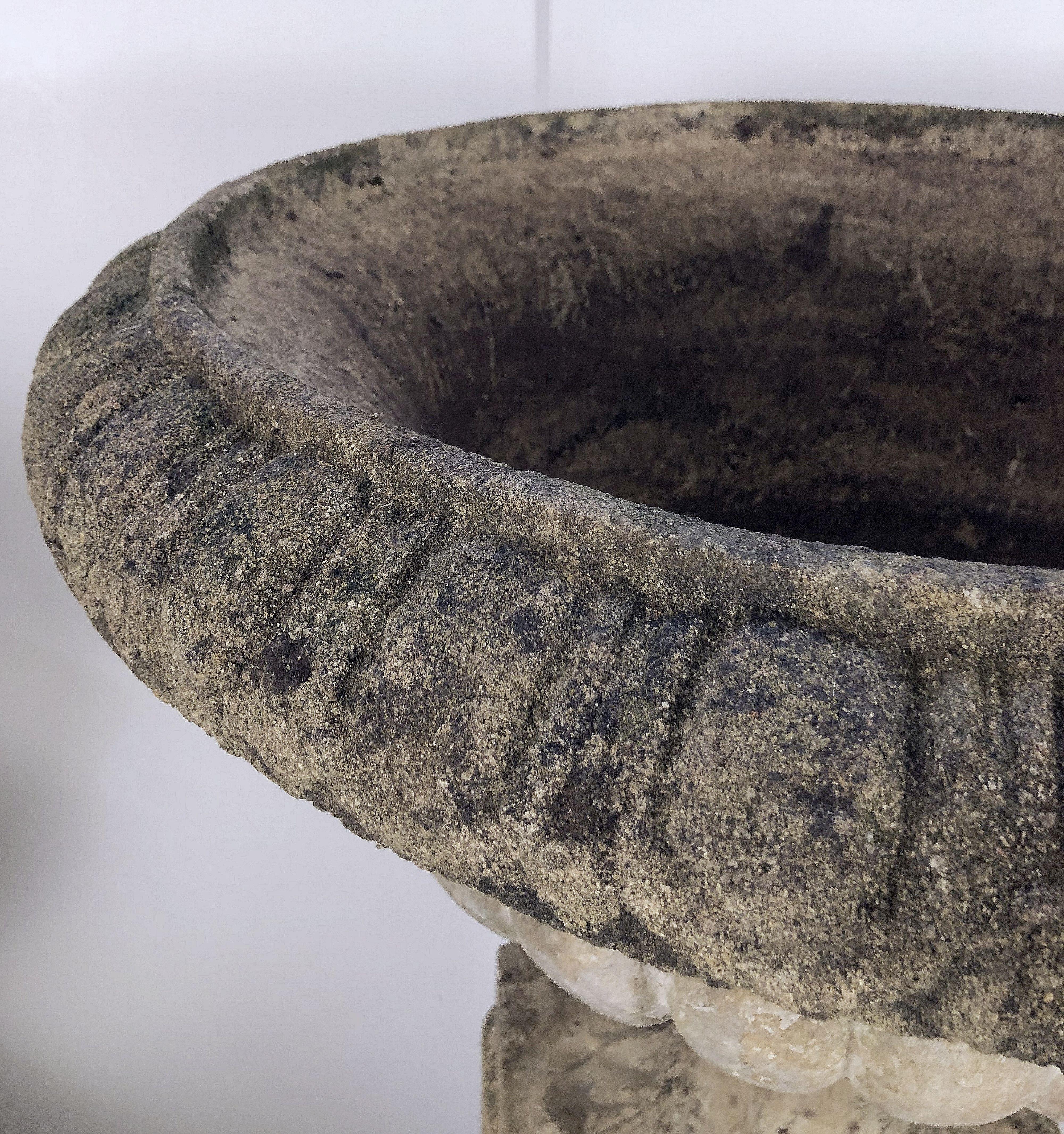 Classical Roman Large English Garden Stone Urn or Planter Pot on Plinth or Pedestal
