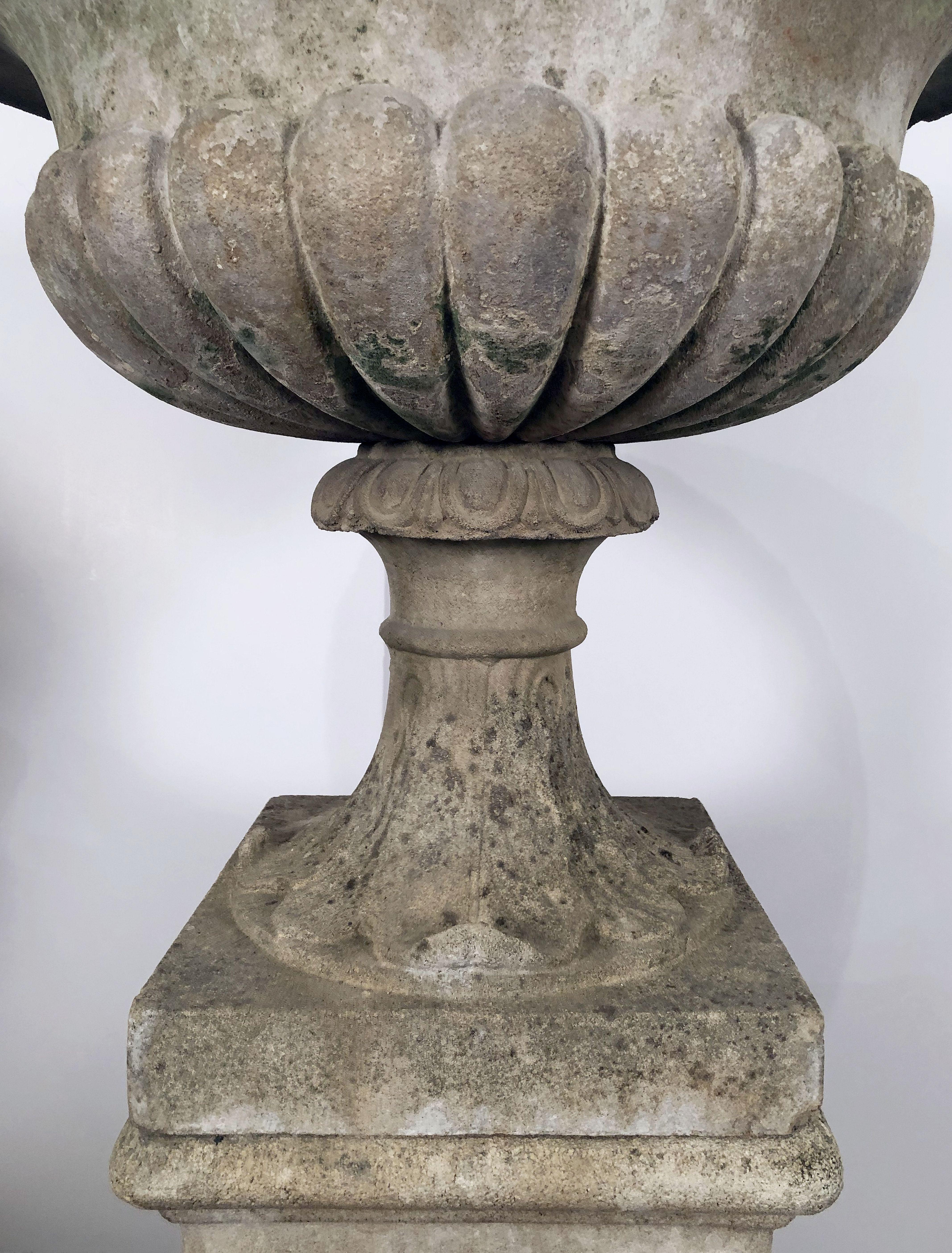 Cast Stone Large English Garden Stone Urn or Planter Pot on Plinth or Pedestal