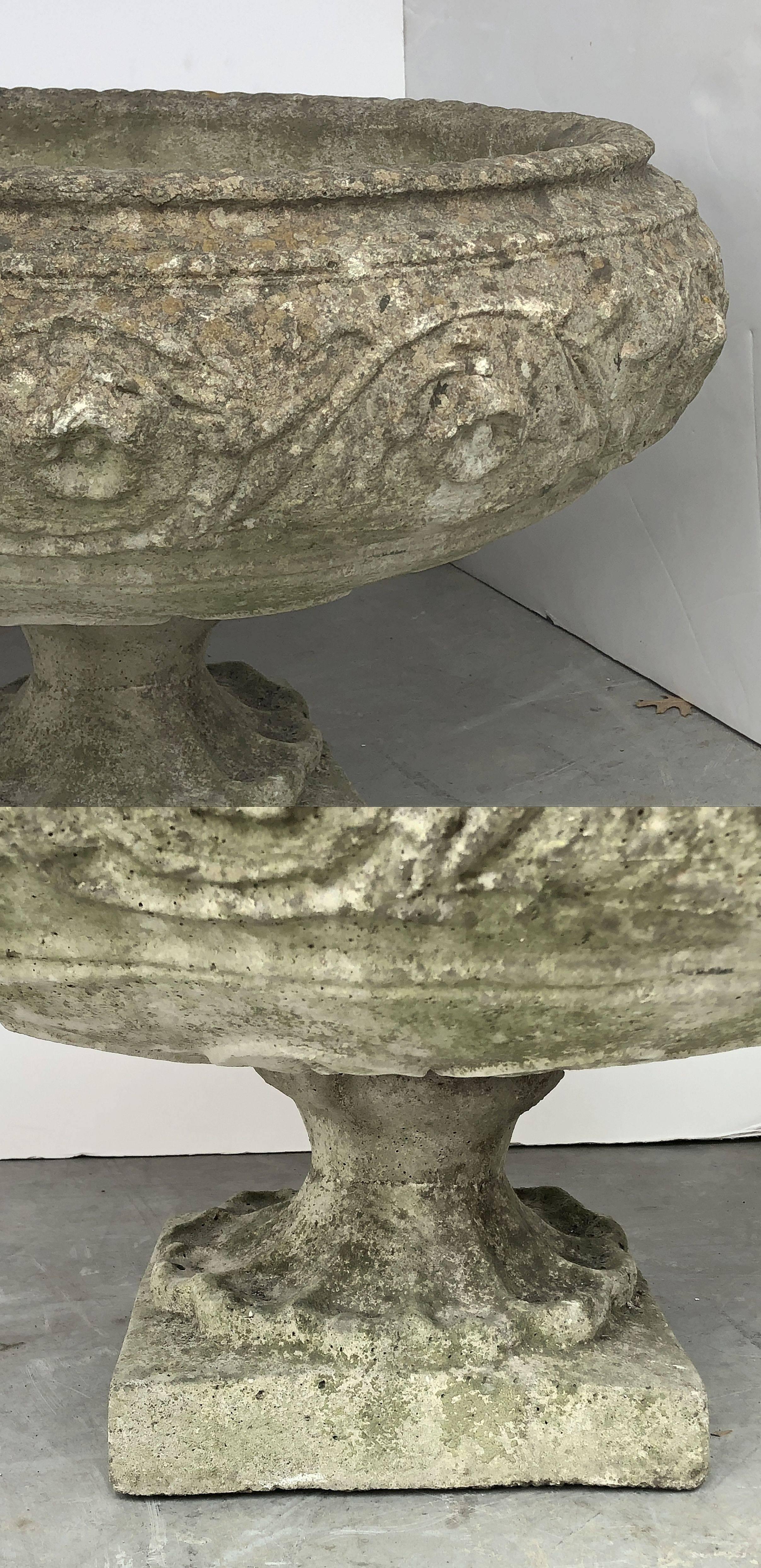Large English Garden Stone Urn or Planter 3
