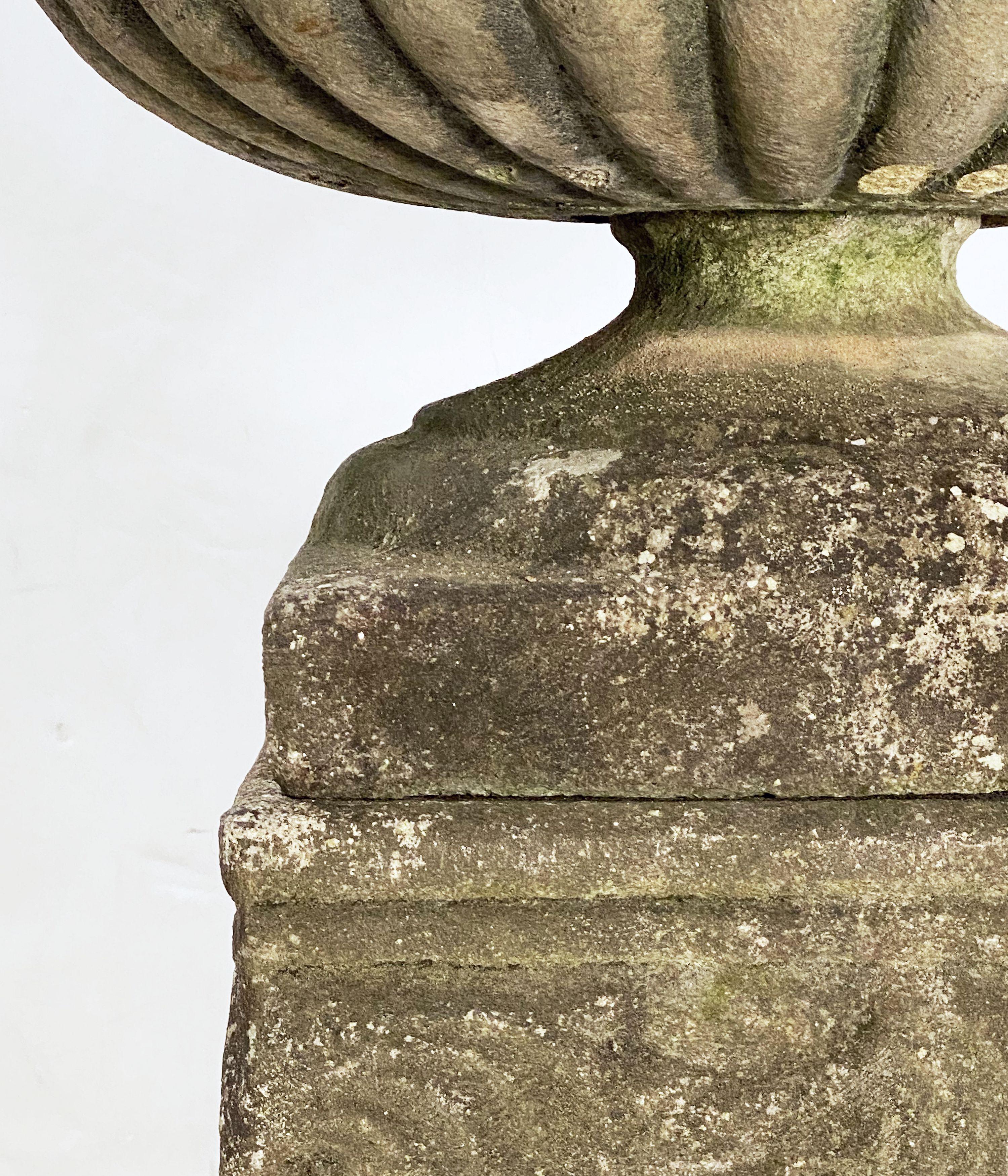 Urne ou pot de fleurs en pierre de jardin anglais sur socle dans le style Classic en vente 11