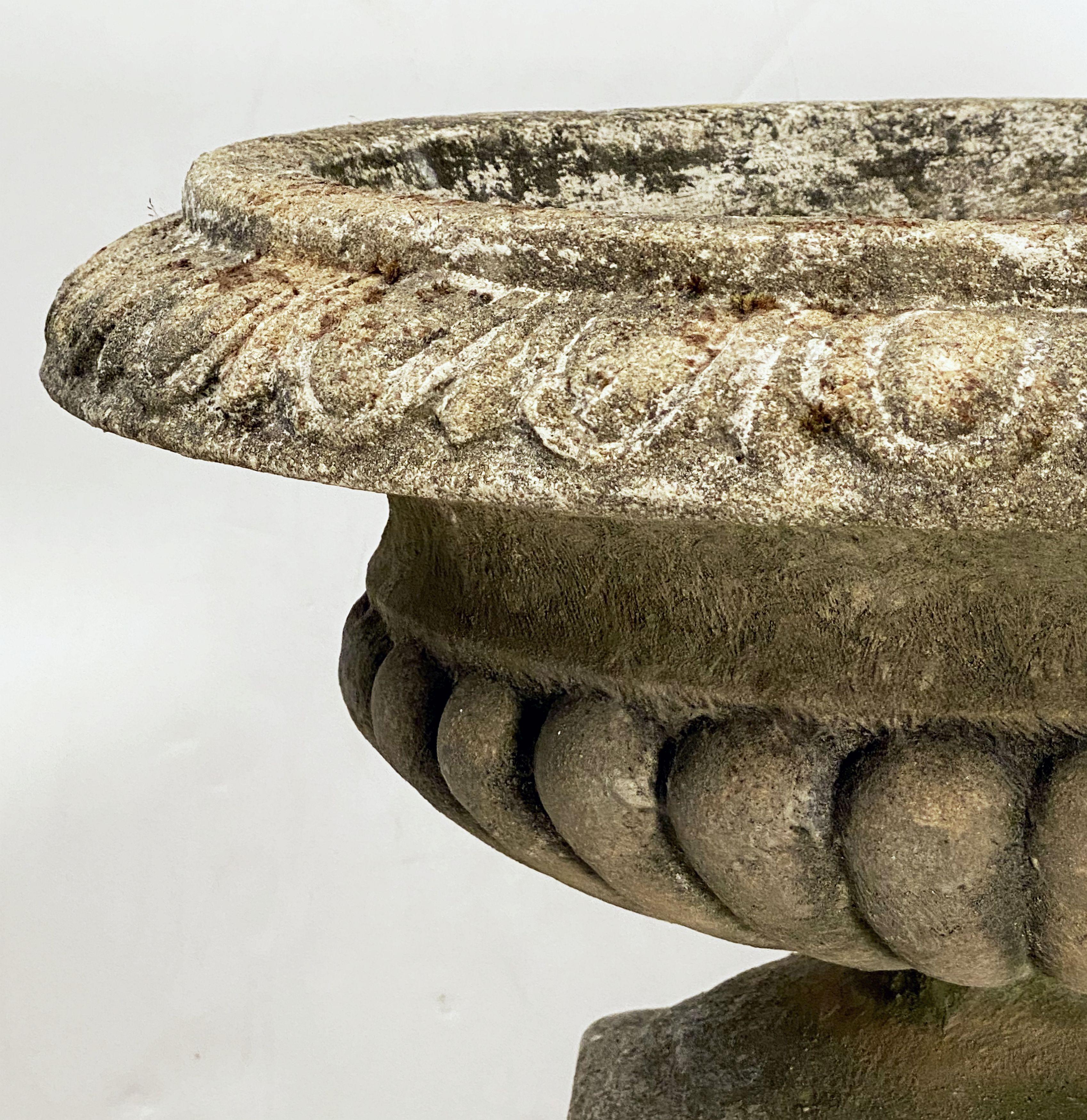 Classical Roman English Garden Stone Urn or Planter Pot on Plinth Base in the Classical Style For Sale