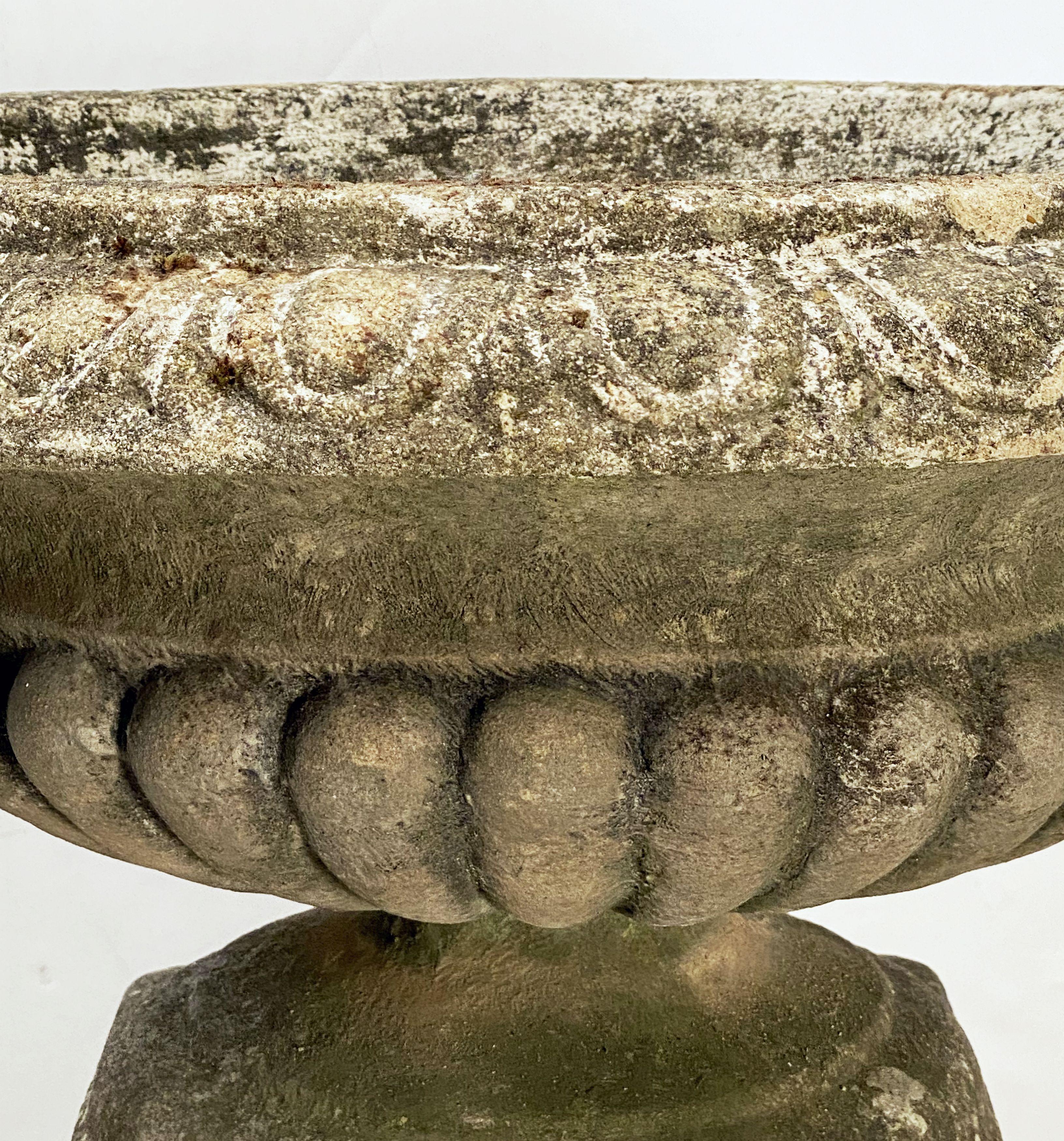 English Garden Stone Urn or Planter Pot on Plinth Base in the Classical Style In Good Condition For Sale In Austin, TX