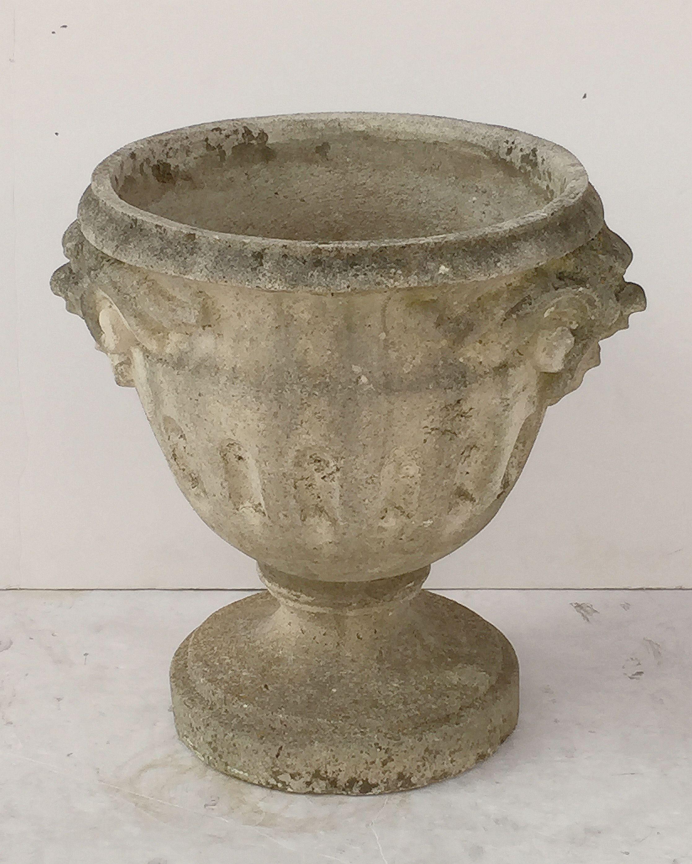 Large English Garden Stone Urn or Planter Pot on Raised Base 4