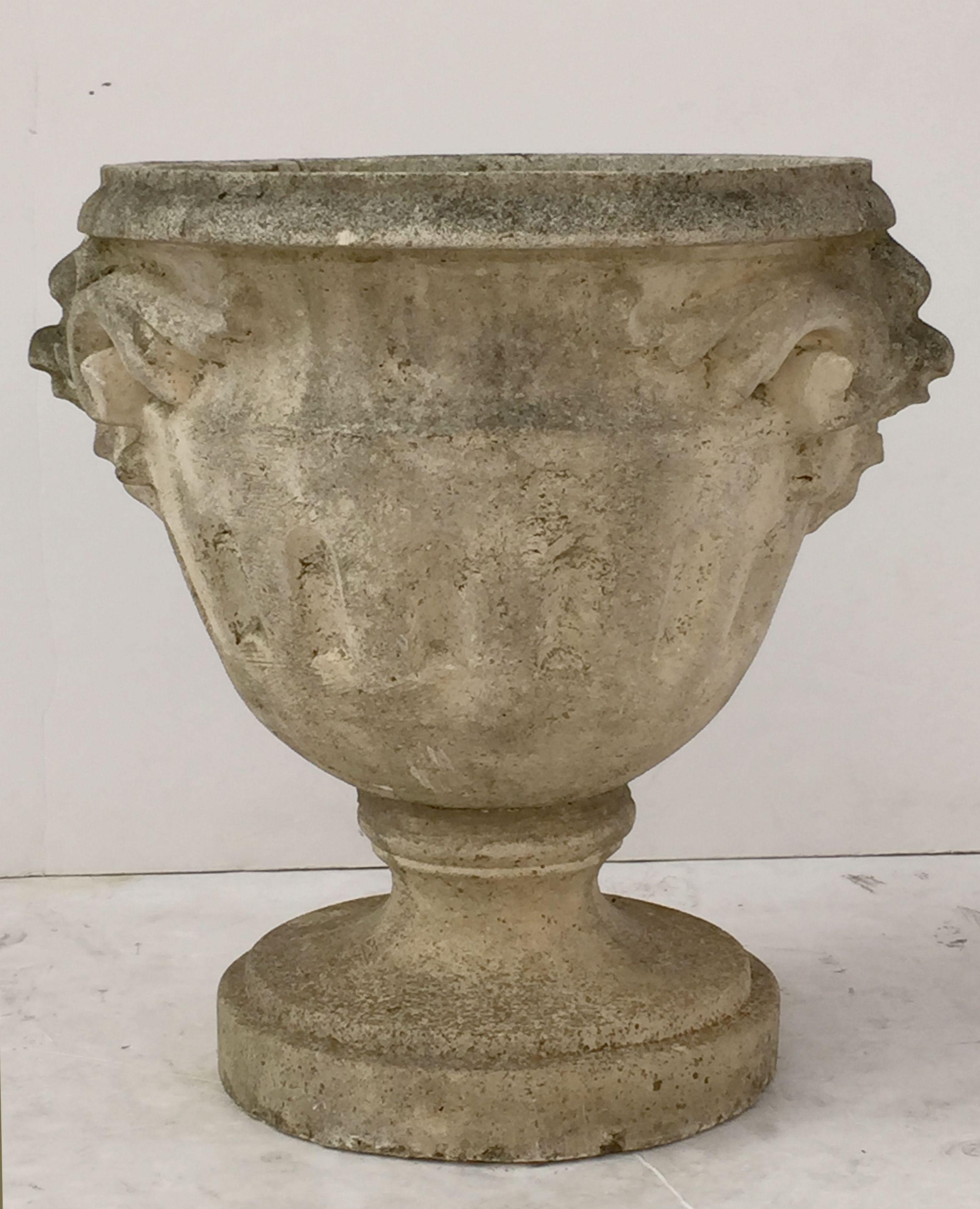 Large English Garden Stone Urn or Planter Pot on Raised Base 5