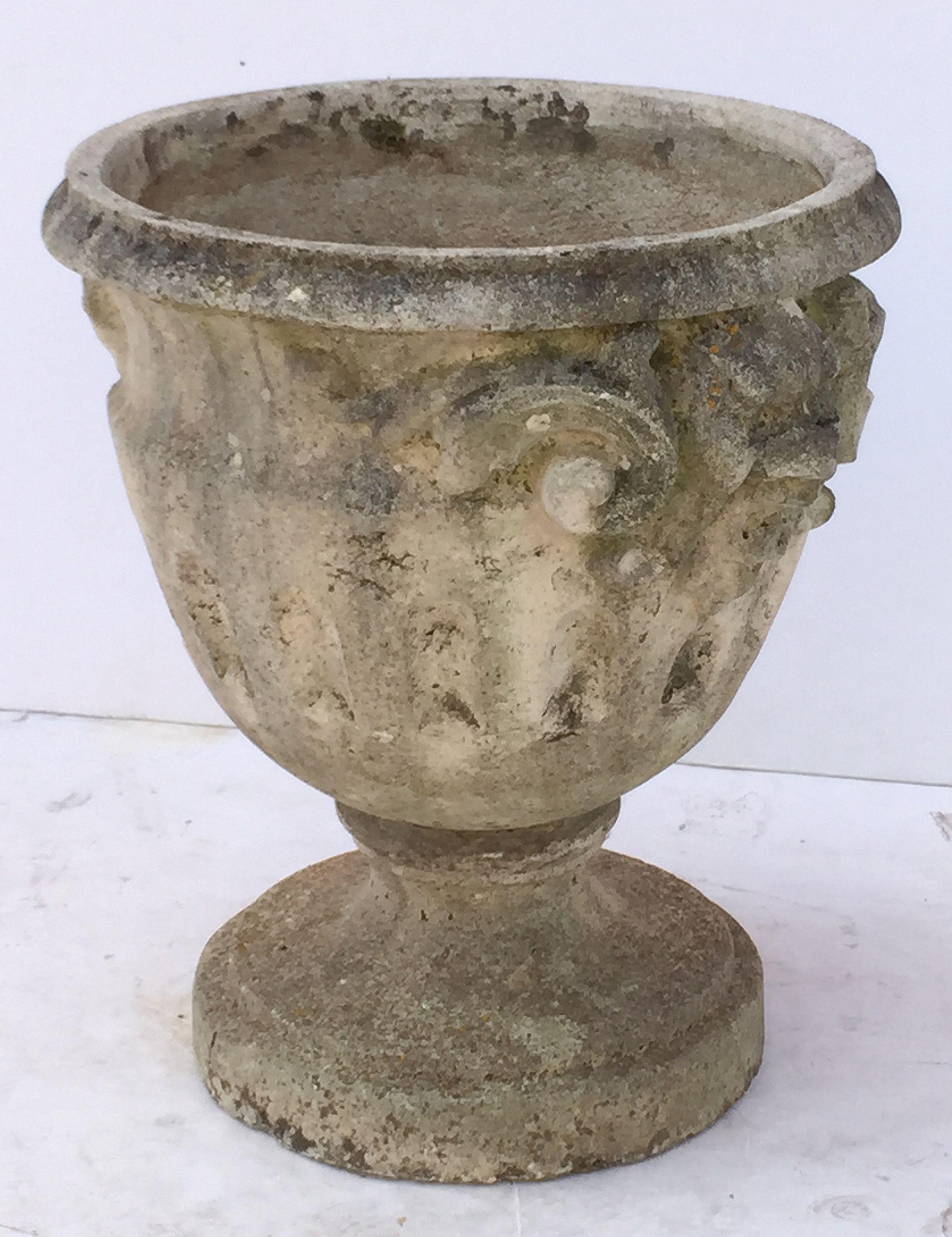 Large English Garden Stone Urn or Planter Pot on Raised Base 10