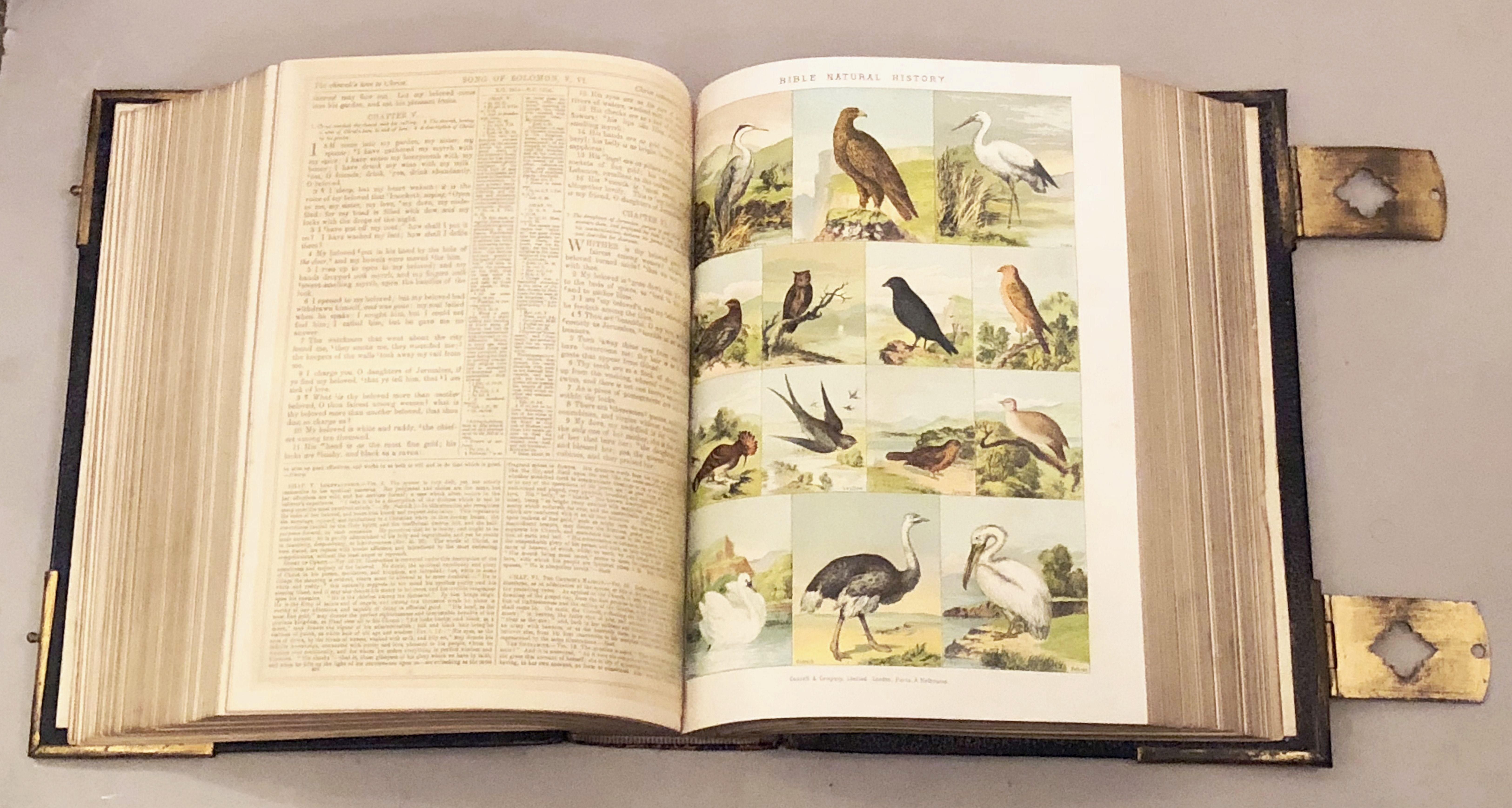 Grande Bible anglaise avec fermoirs du 19ème siècle 9