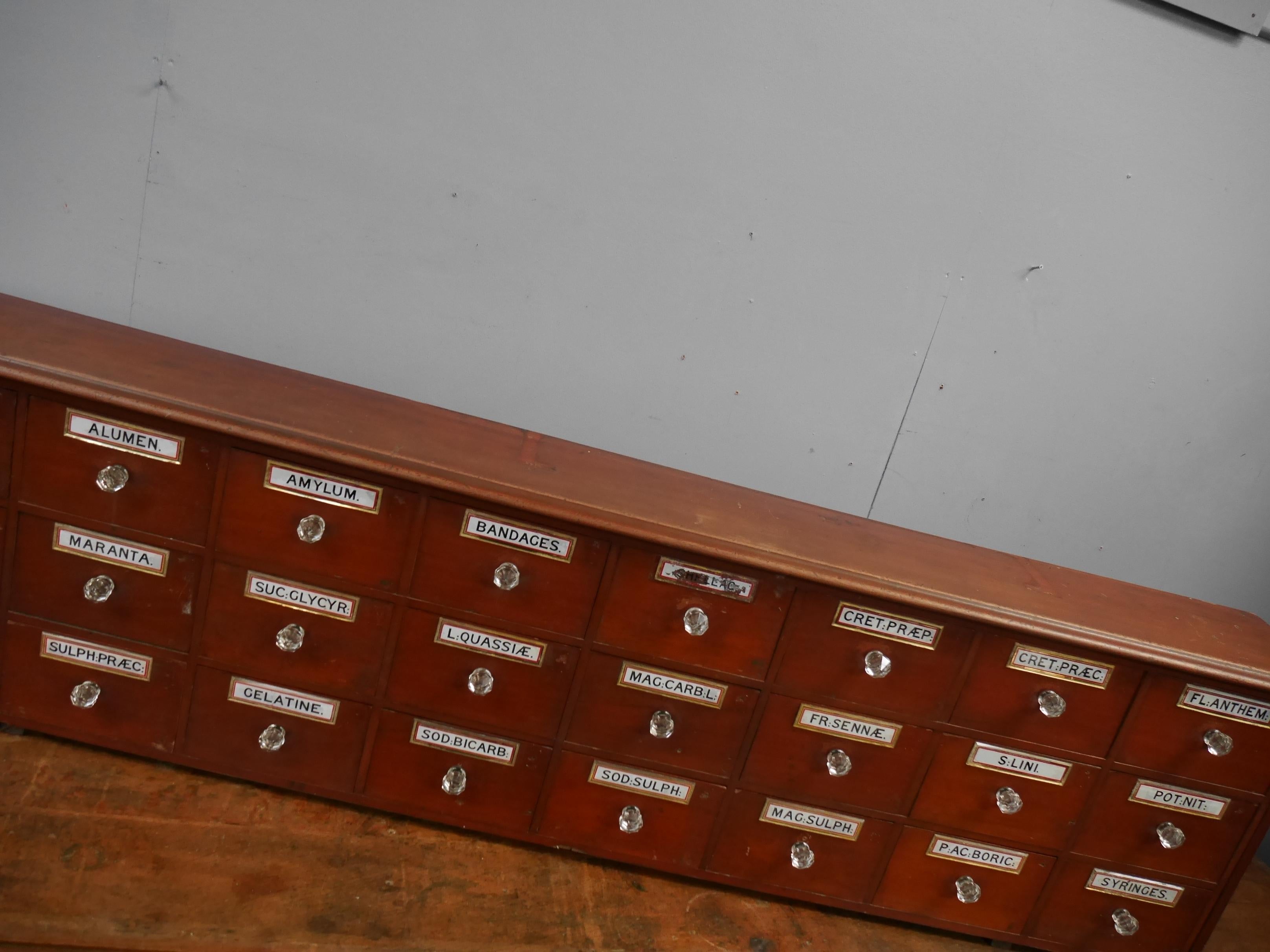 Large English Mahogany Apothecary Drawers c1890 For Sale 1