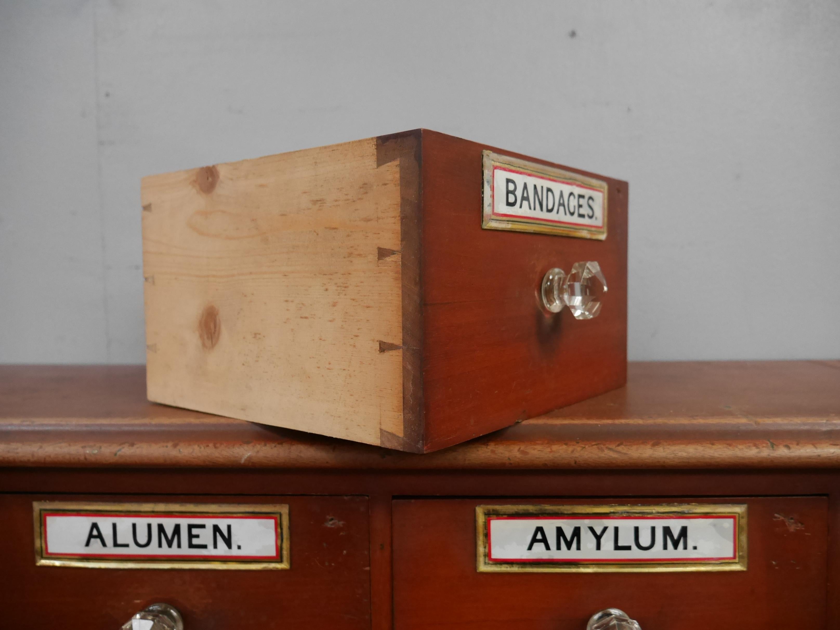 Gilt Large English Mahogany Apothecary Drawers c1890 For Sale