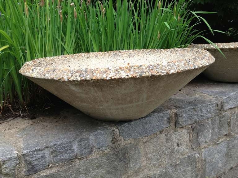modern bowl planter