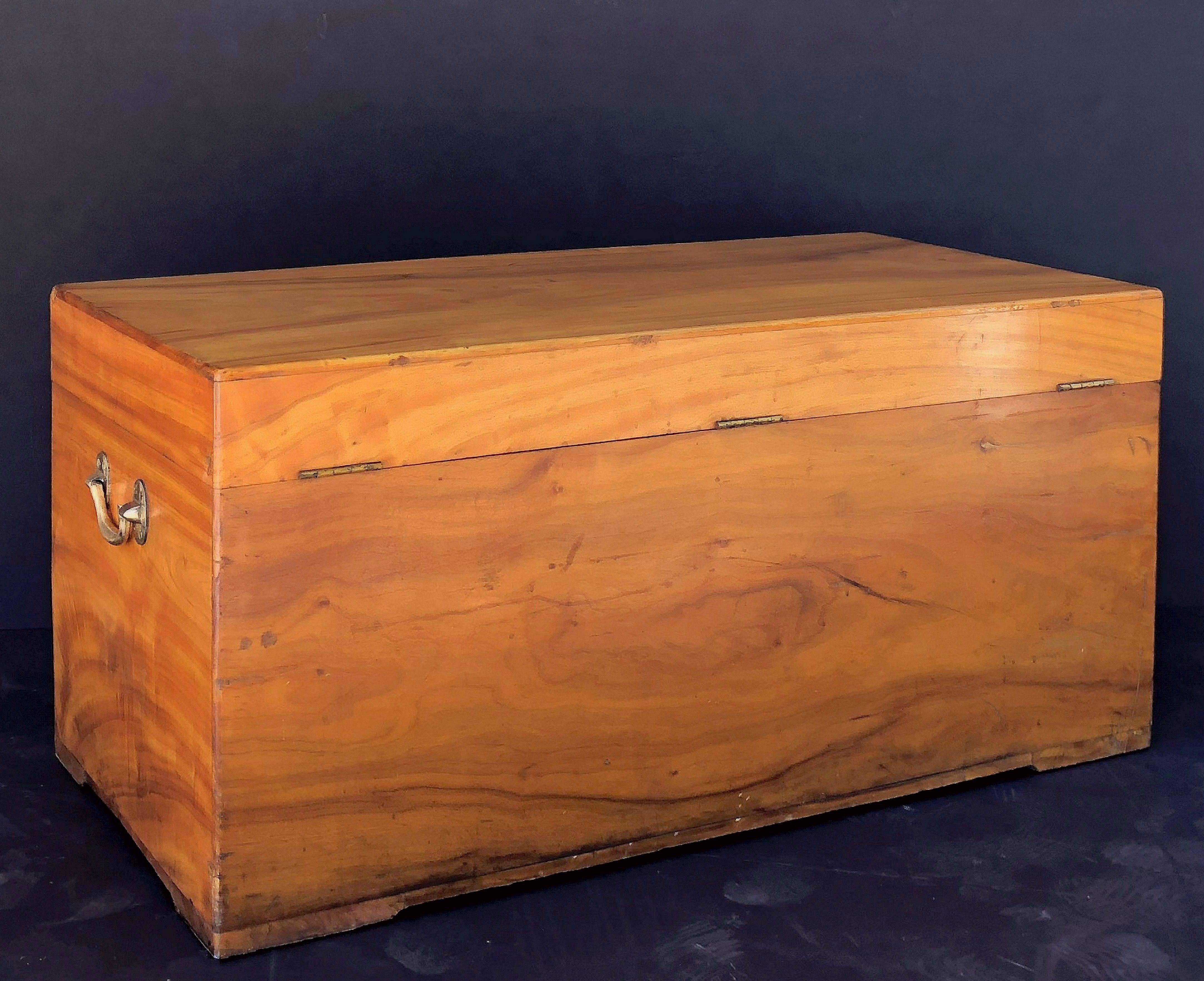 Large English Trunk or Chest of Camphorwood 2