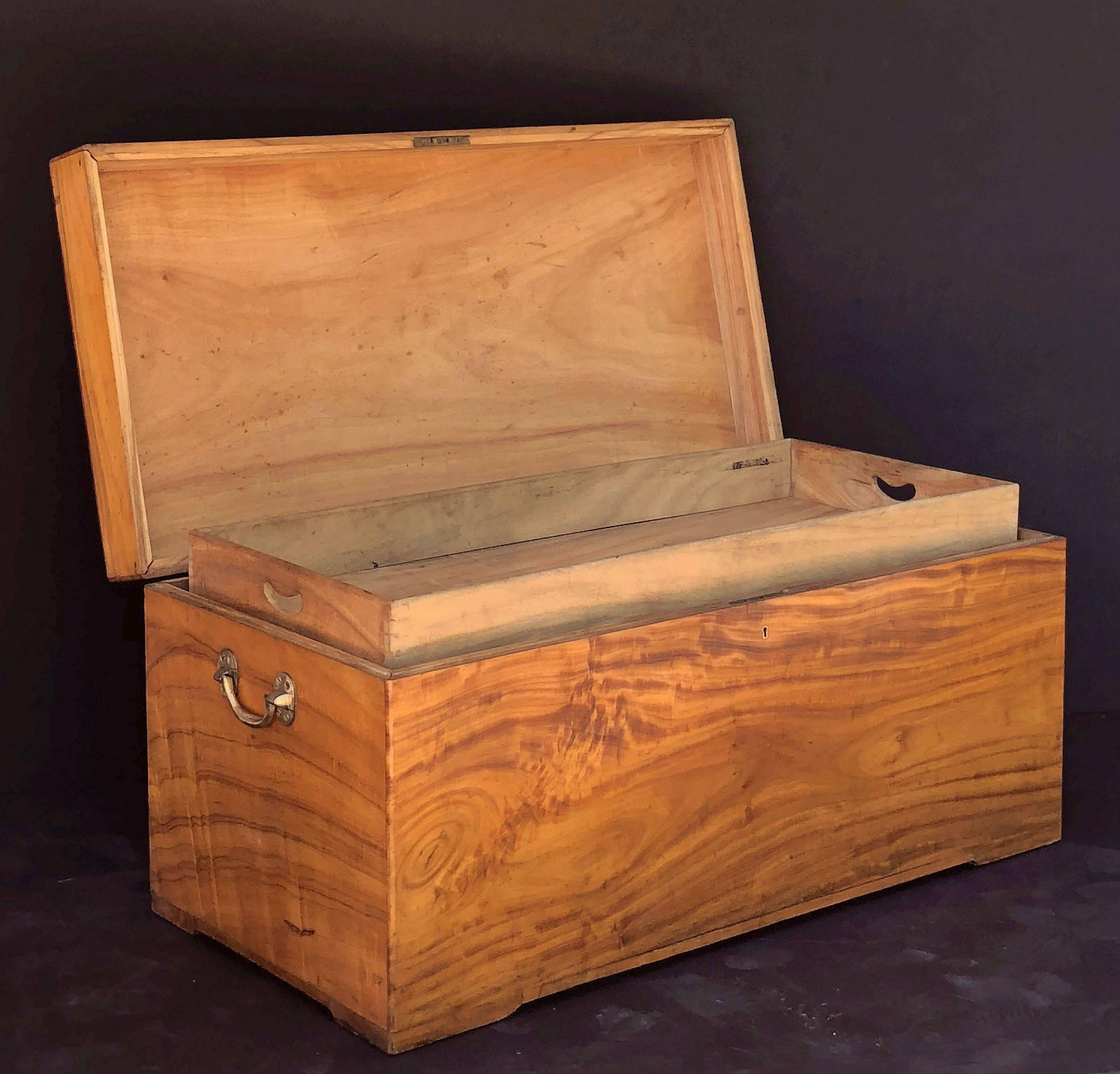 Campaign Large English Trunk or Chest of Camphorwood