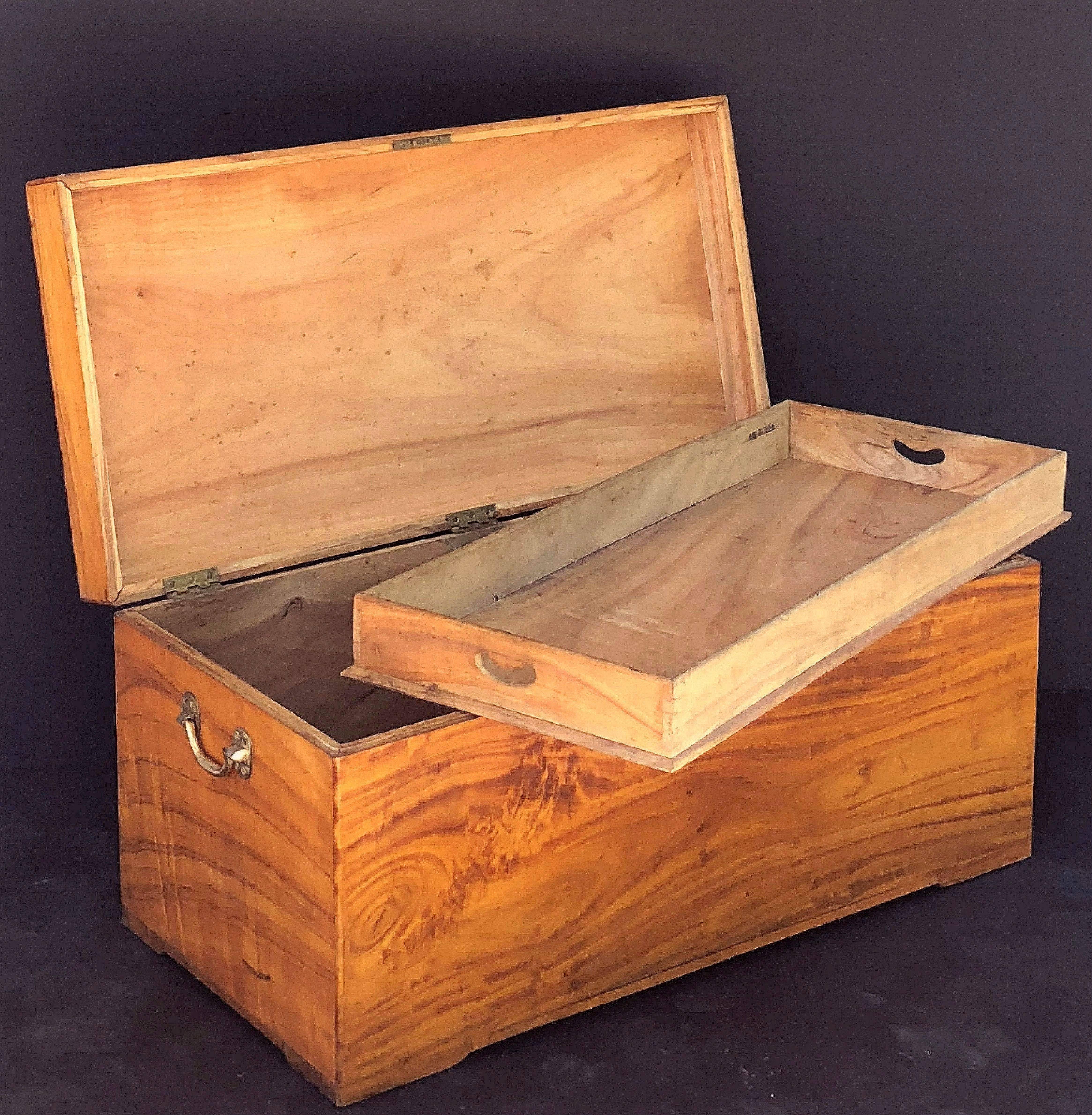 Large English Trunk or Chest of Camphorwood In Good Condition In Austin, TX