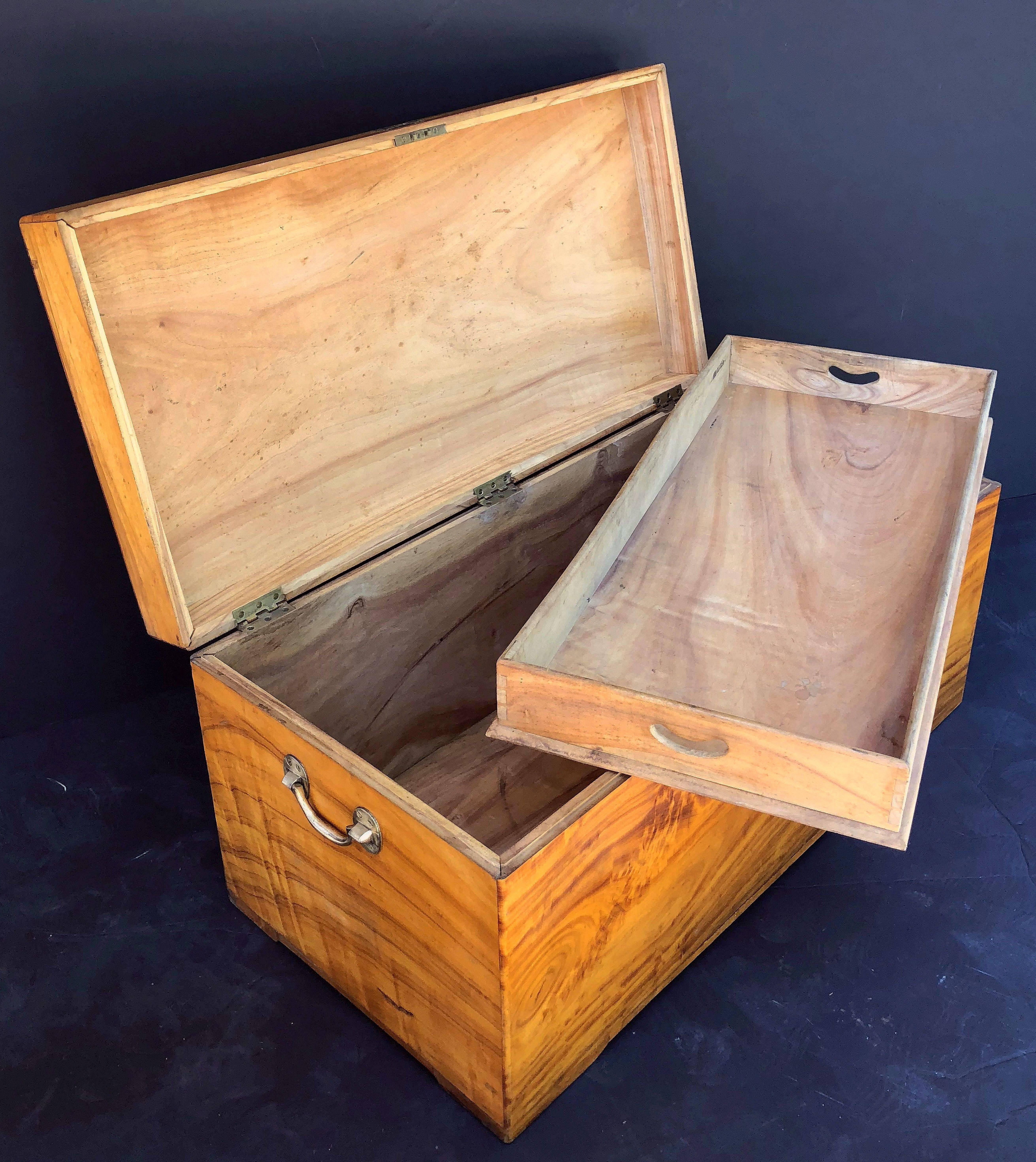 20th Century Large English Trunk or Chest of Camphorwood