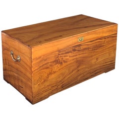 Antique Large English Trunk or Chest of Camphorwood