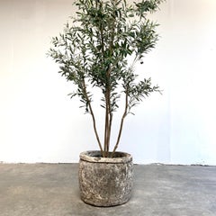 Large European Limestone Garden Fountain Trough or Planter