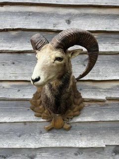 Large European Ram Taxidermy Wall Mount with Hand-Carved Black Forest Plaque