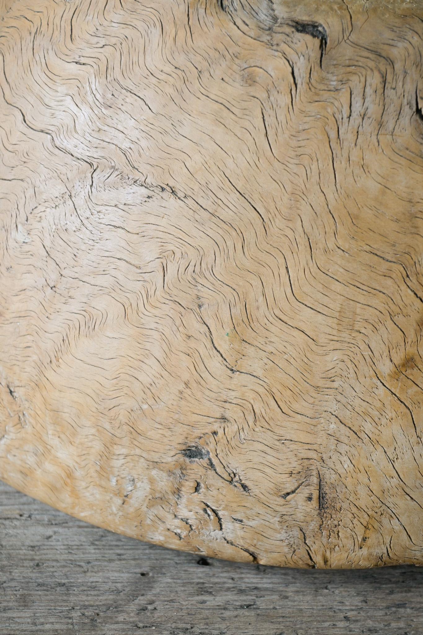 Large Exceptional Norwegian Burl Birch Bowl, ca 1780–1830 For Sale 5