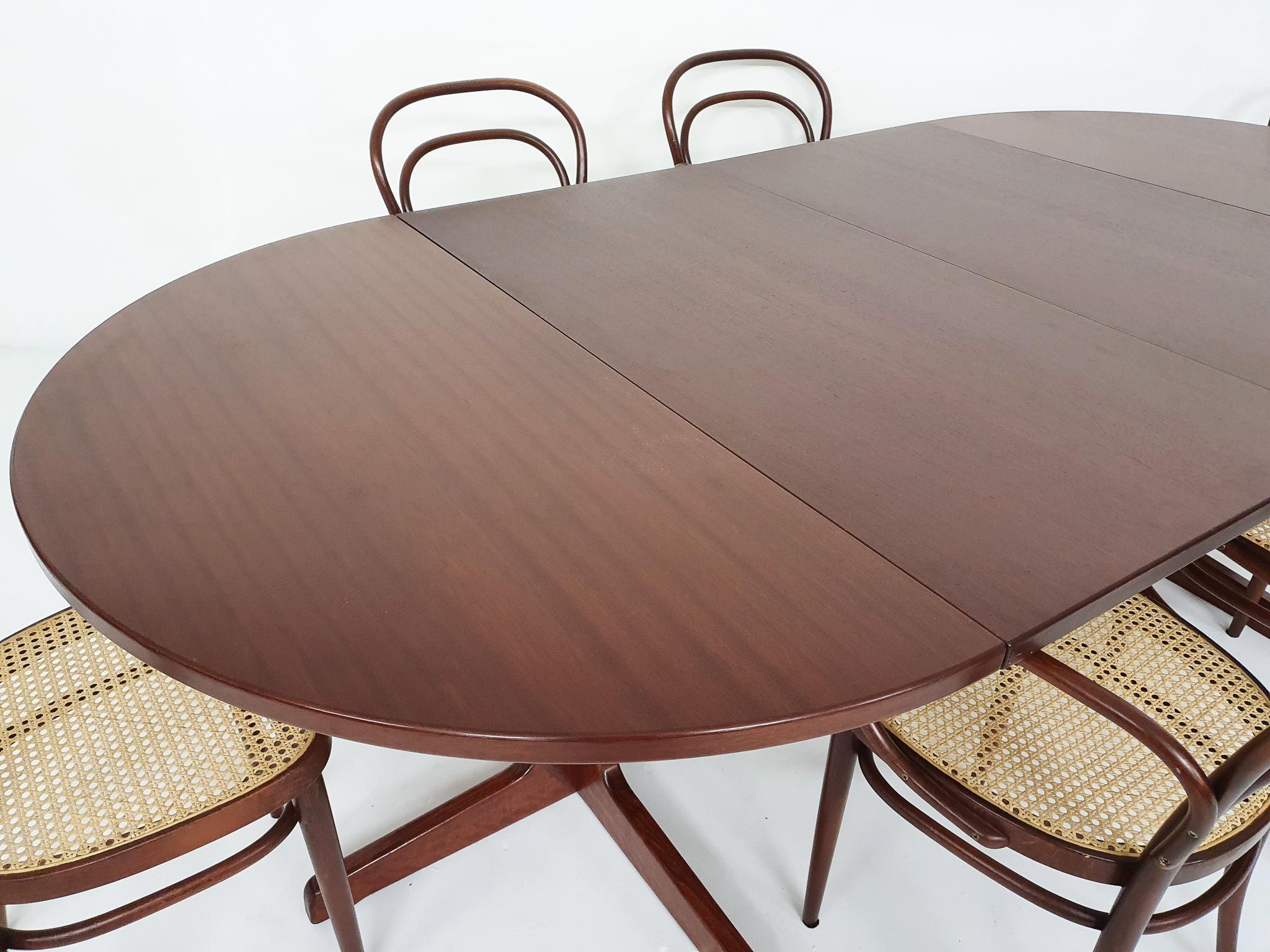 Large Extendable Thonet Dining Table, Germany 9