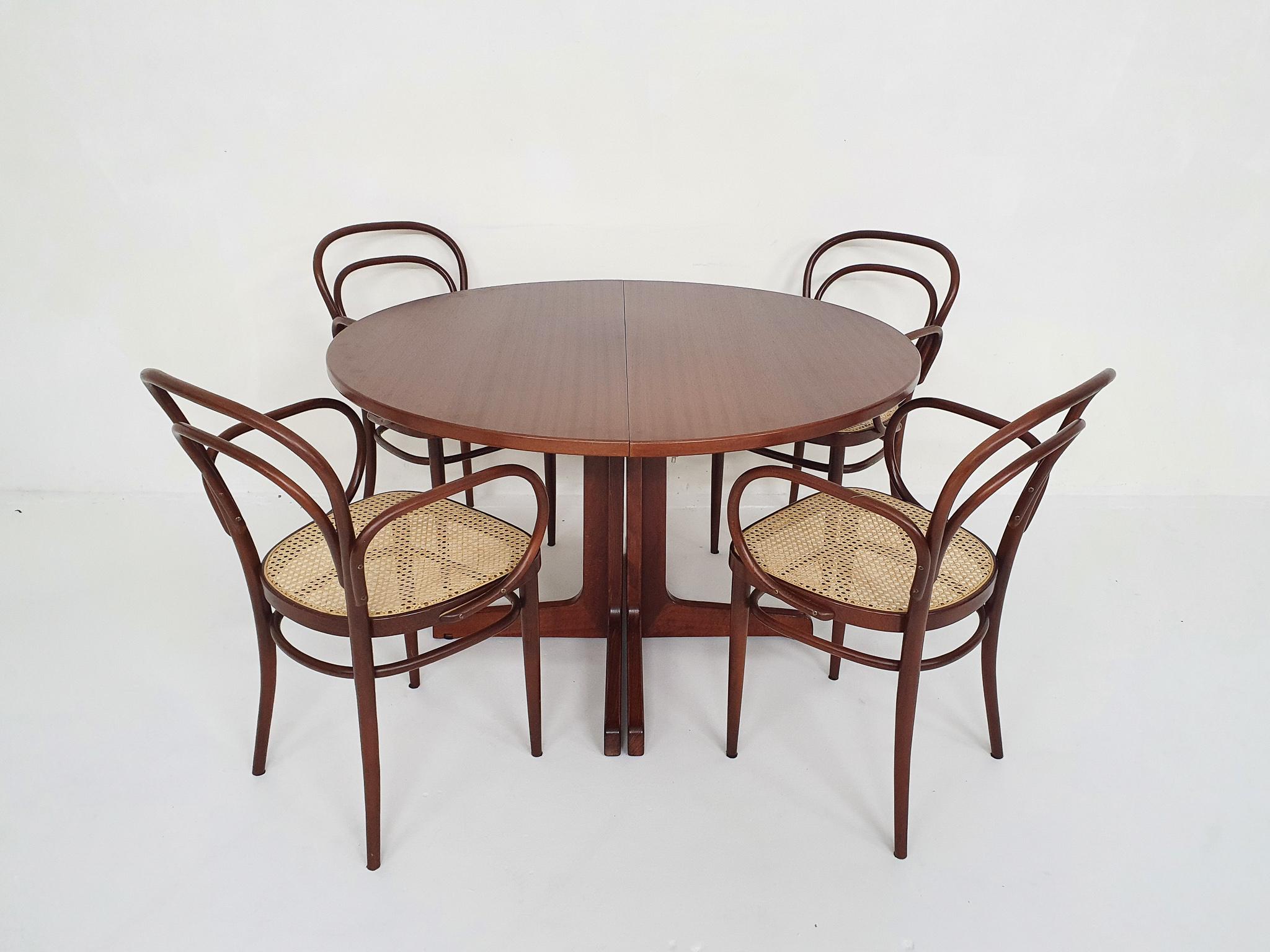 Large Extendable Thonet Dining Table, Germany 10
