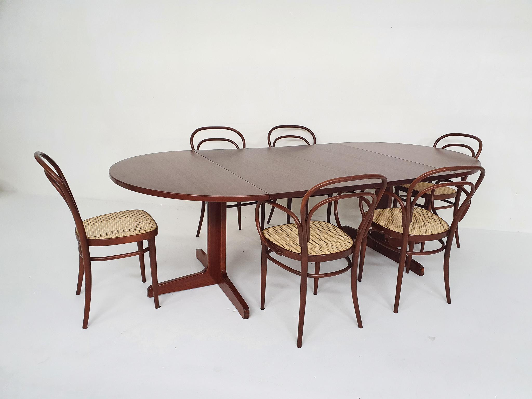 Large Extendable Thonet Dining Table, Germany 11