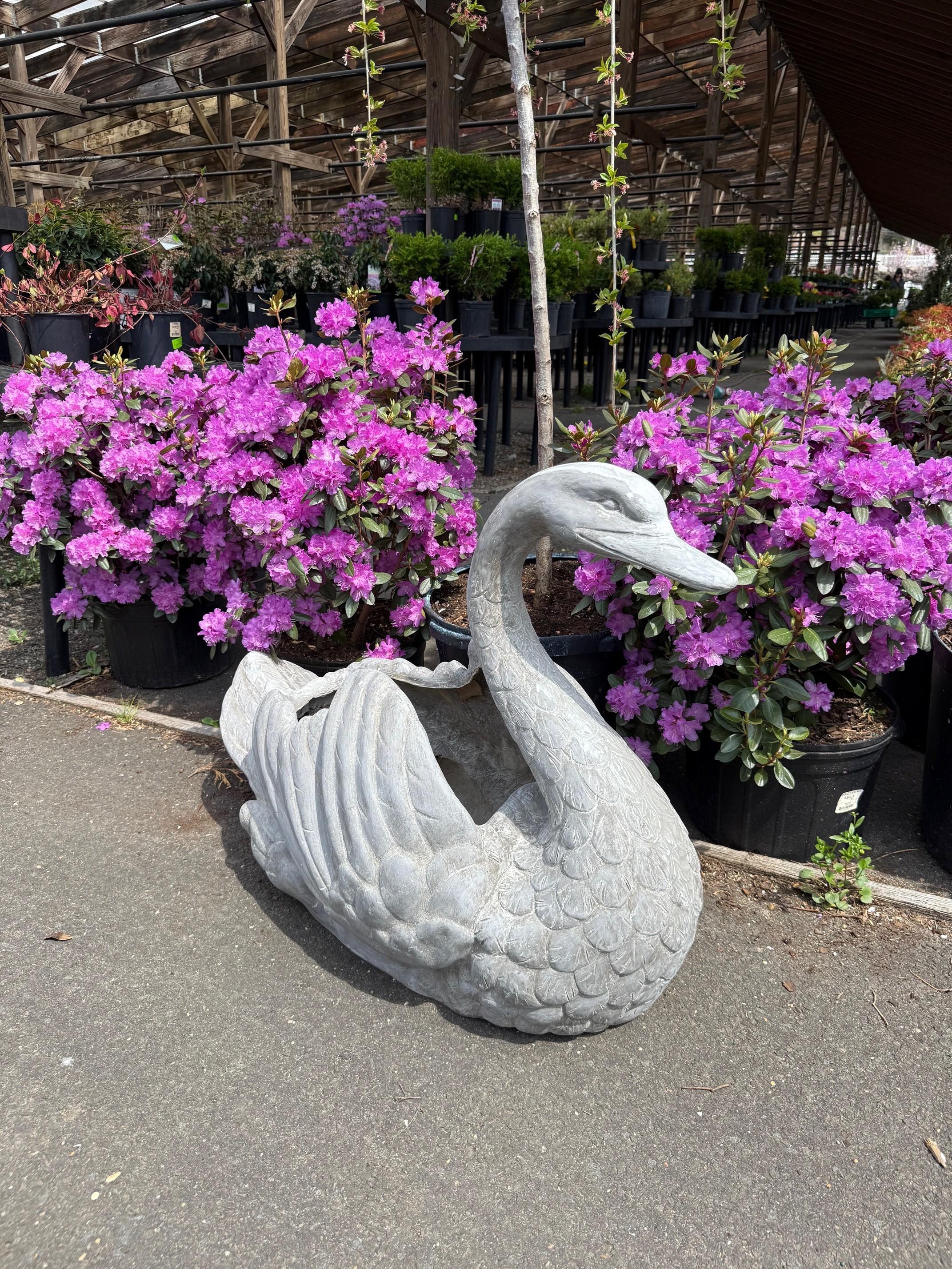 Incantevole fioriera a forma di cigno in vetroresina, perfetta per la piscina o per la porta d'ingresso. La fioriera cigno è realizzata in fibra di vetro molto resistente e non richiede manutenzione. Si tratta di un grande pezzo fuso da un'antica