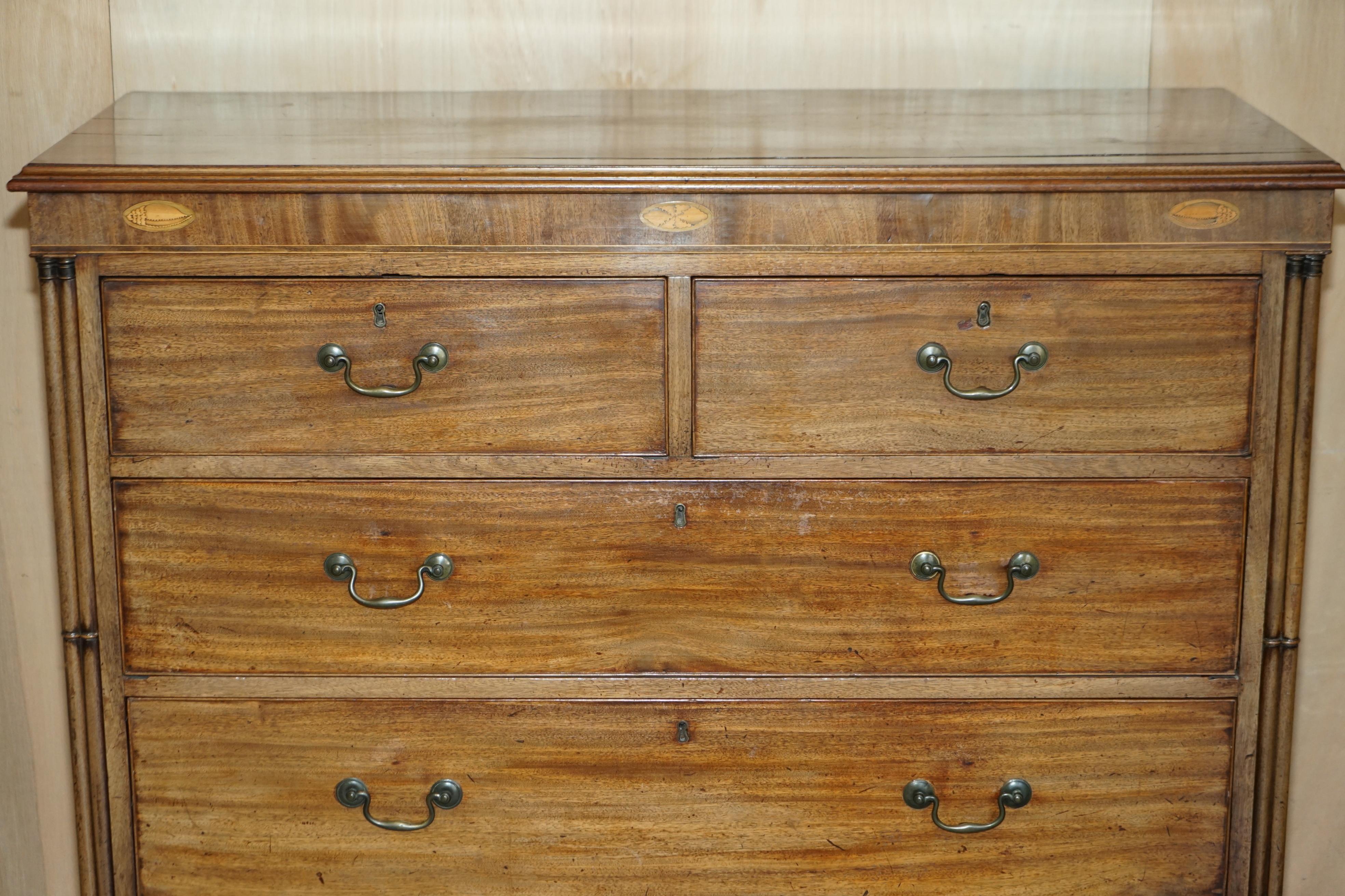 LARGE FiNE ANTIQUE THOMAS CHIPPENDALE SHERATON REVIVAL HARDWOOD CHEST OF DRAWERS For Sale 1