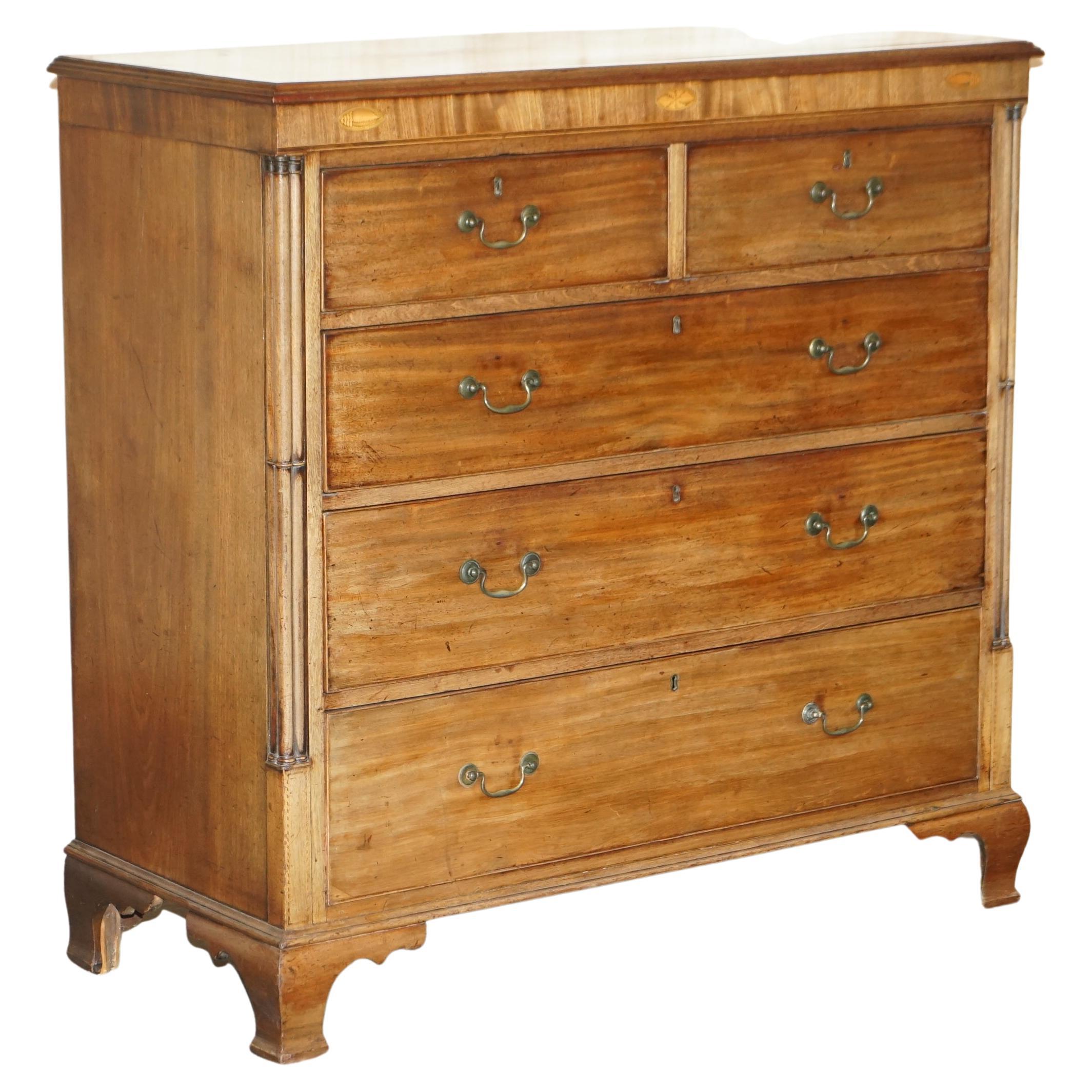 LARGE FiNE ANTIQUE THOMAS CHIPPENDALE SHERATON REVIVAL HARDWOOD CHEST OF DRAWERS For Sale