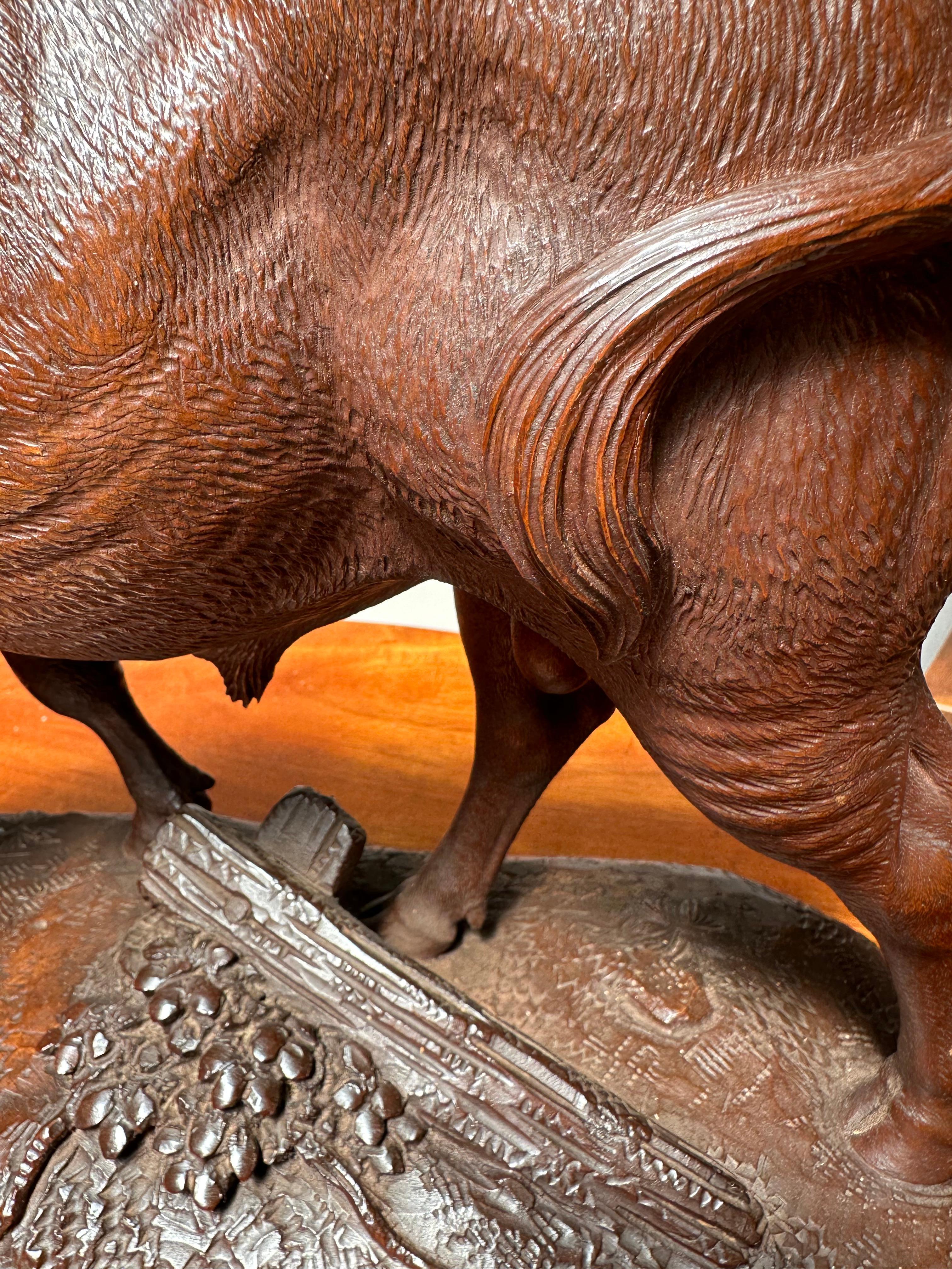 Grande sculpture de taureau en bois de noyer sculptée en Suisse Black Forest, de la plus haute qualité. en vente 6