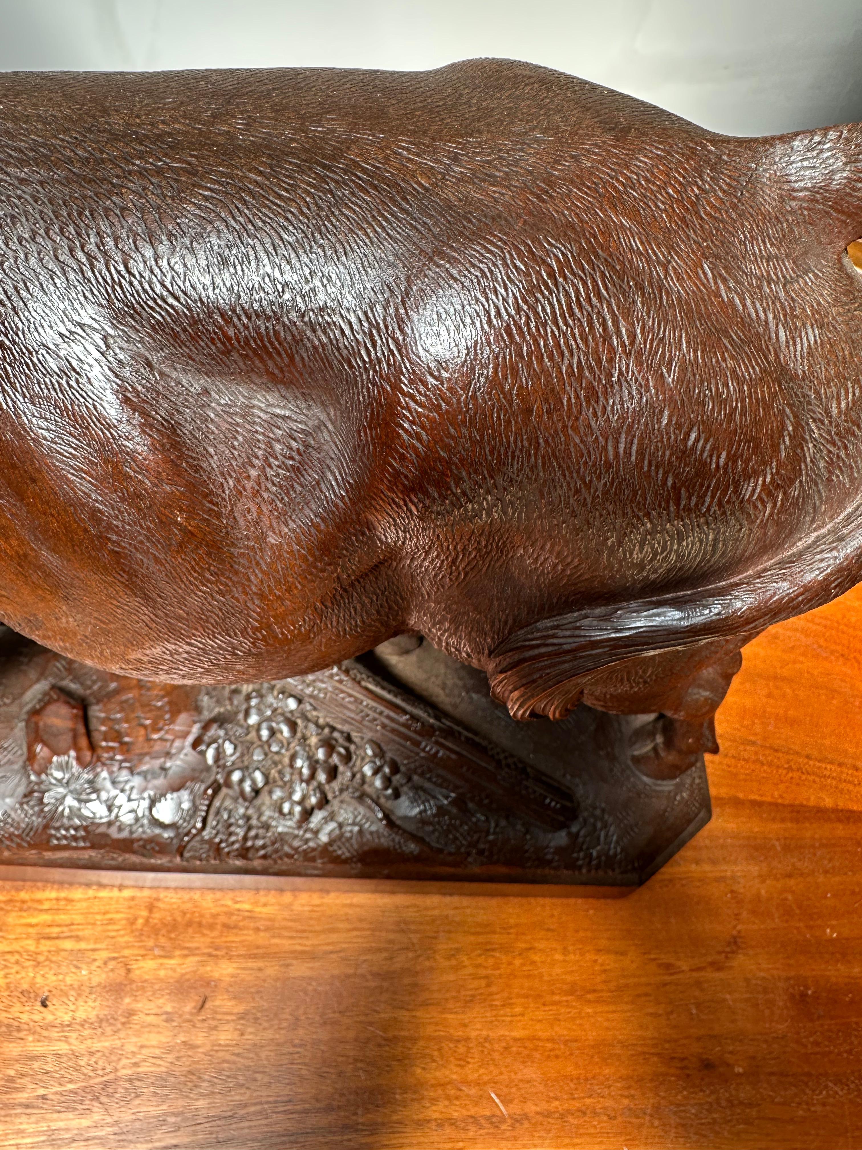 Large & Finest Quality, Antique Carved Nutwood Swiss Black Forest Bull Sculpture For Sale 12