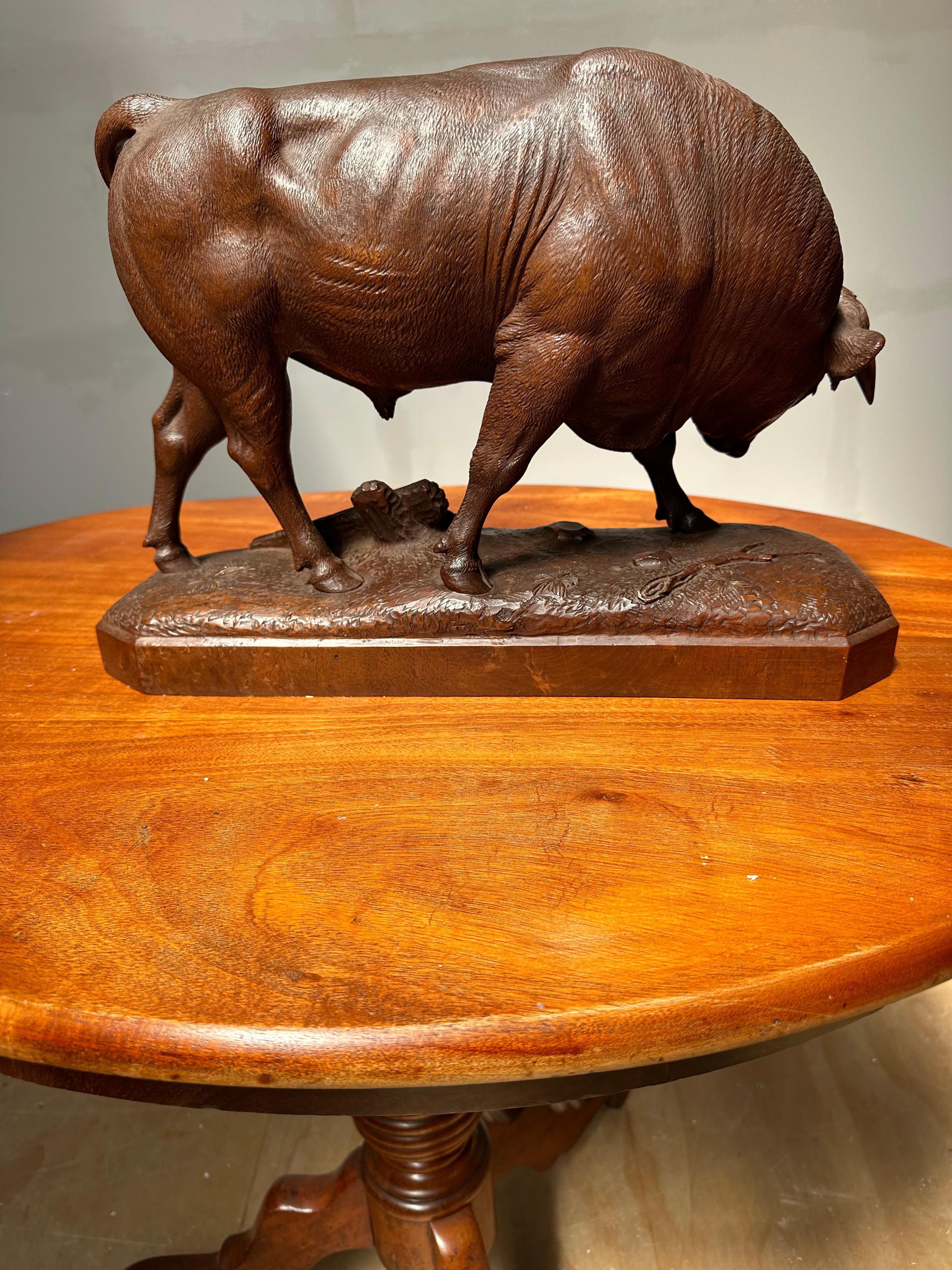 Hand-Carved Large & Finest Quality, Antique Carved Nutwood Swiss Black Forest Bull Sculpture For Sale