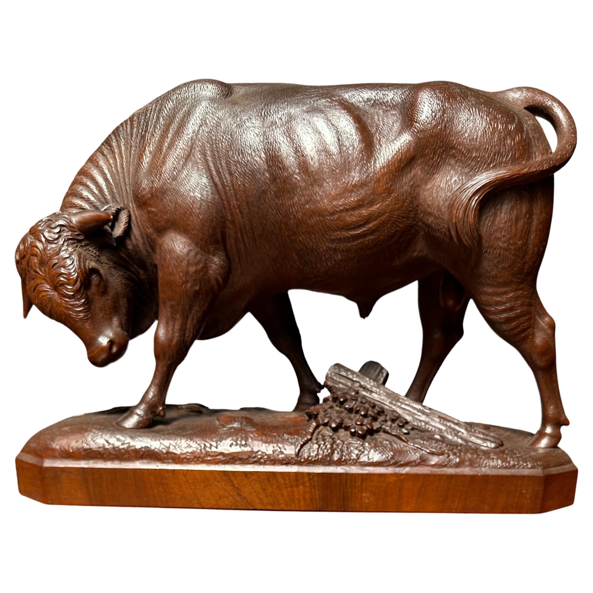 Large & Finest Quality, Antique Carved Nutwood Swiss Black Forest Bull Sculpture For Sale
