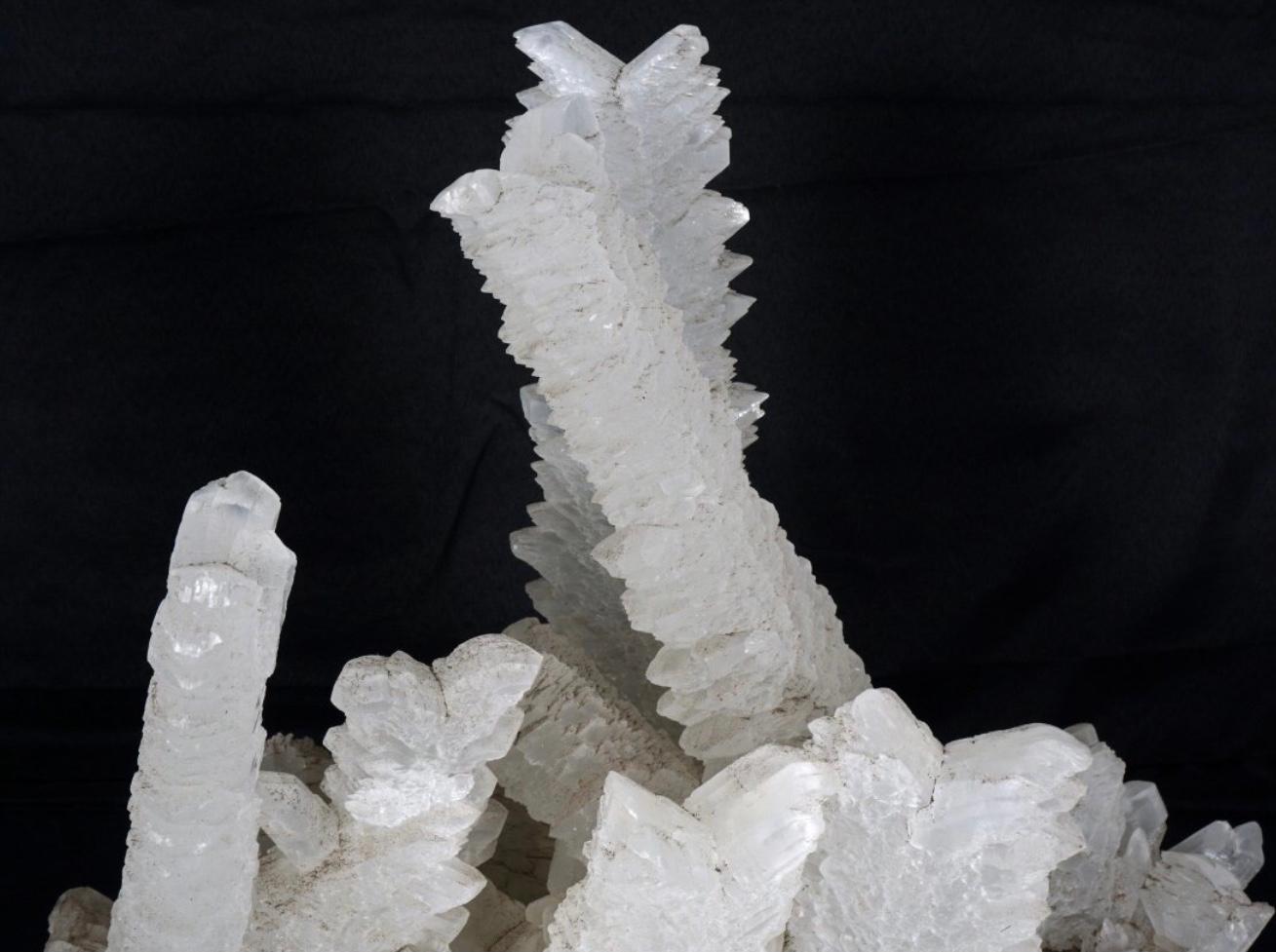 Organic Modern Large Fishtail Selenite Crystal Formation Specimen For Sale