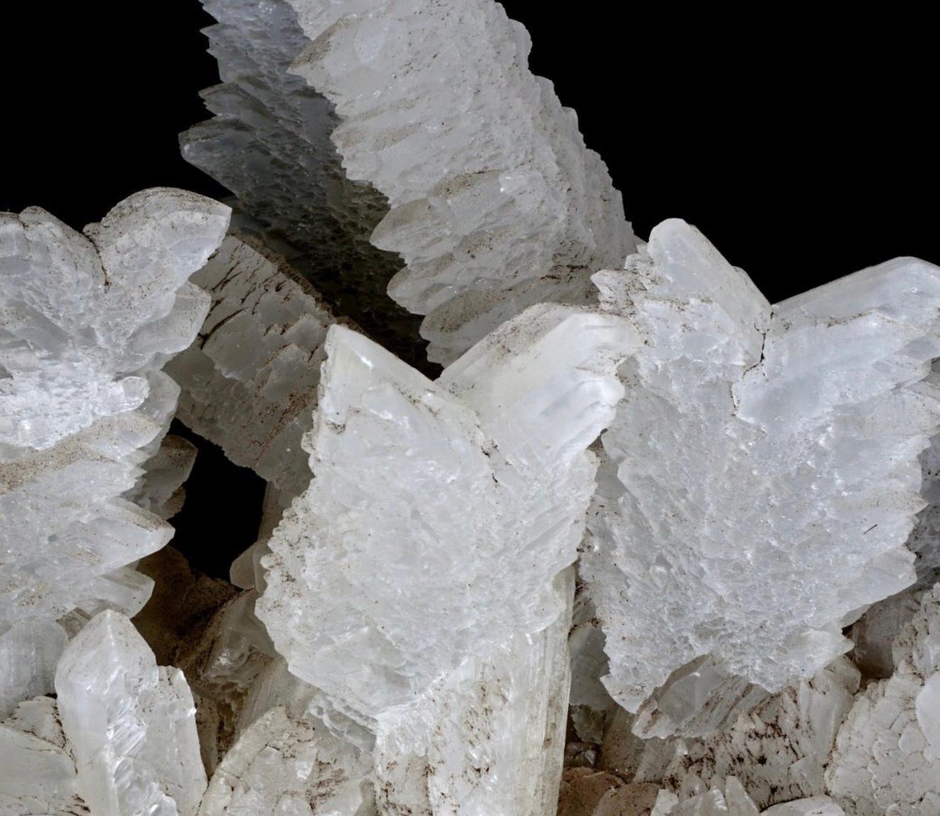 20th Century Large Fishtail Selenite Crystal Formation Specimen For Sale