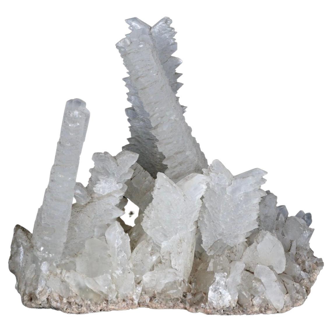 Grand spécimen de formation de cristaux de sélénite en queue de poisson