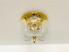 Gran Floral de Vidrio Helado Flush Light de Glashütte Limburg