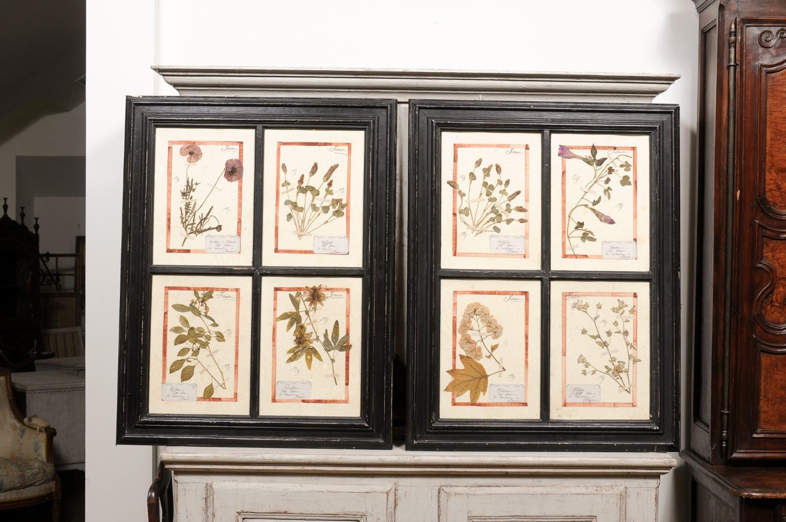 Large Florentine Quadruple Botanicals in Black Frame under Glass, Two Sold Each For Sale 7