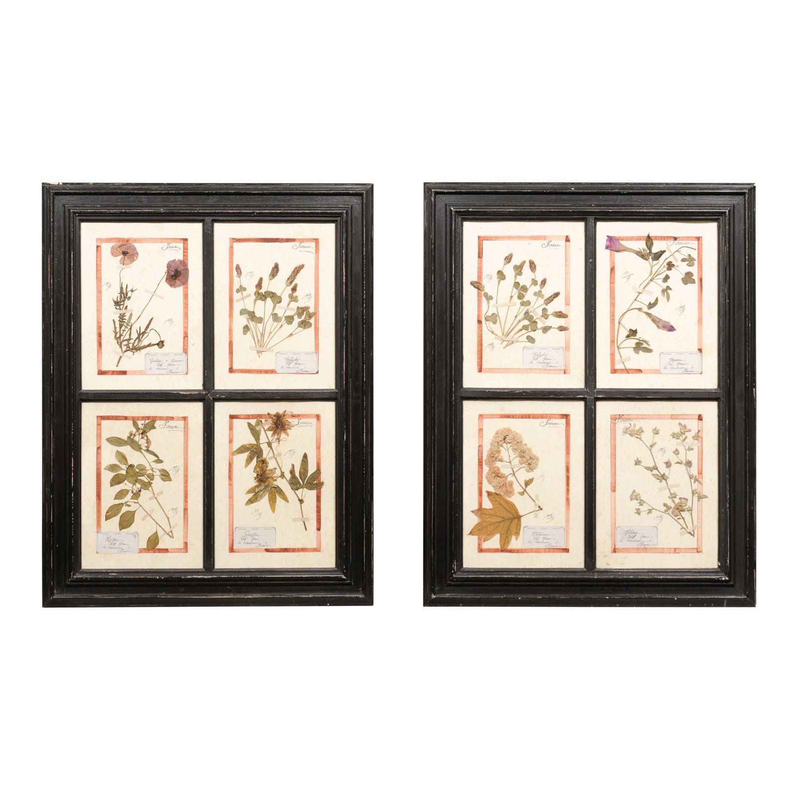 Florentine quadruple botanicals in black frame under glass. We have two frames available, priced and sold each. Imbue your living space with the subtle elegance and rustic charm of these Florentine quadruple botanicals, meticulously framed under