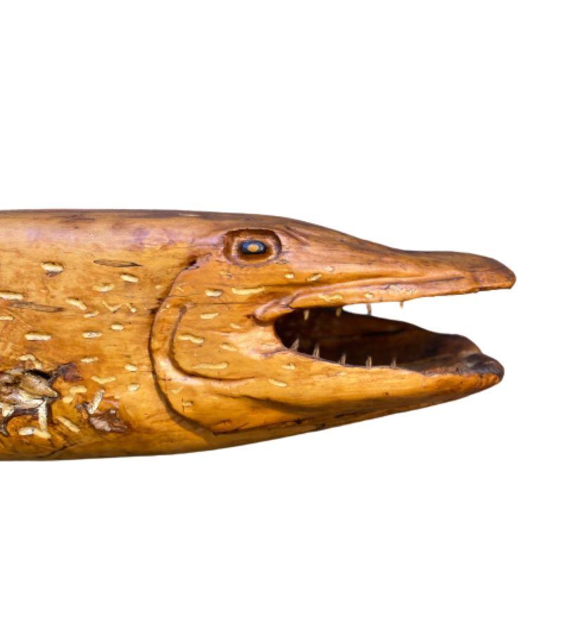 Large Folk Art Carved Northern Pike or Muskie, circa 1930s, a New York State Bait Shop Trade Sign from the Thousand Lakes area, made from a piece of driftwood found along the St. Lawrence River. Hand-carved by the shop owner, and descended through
