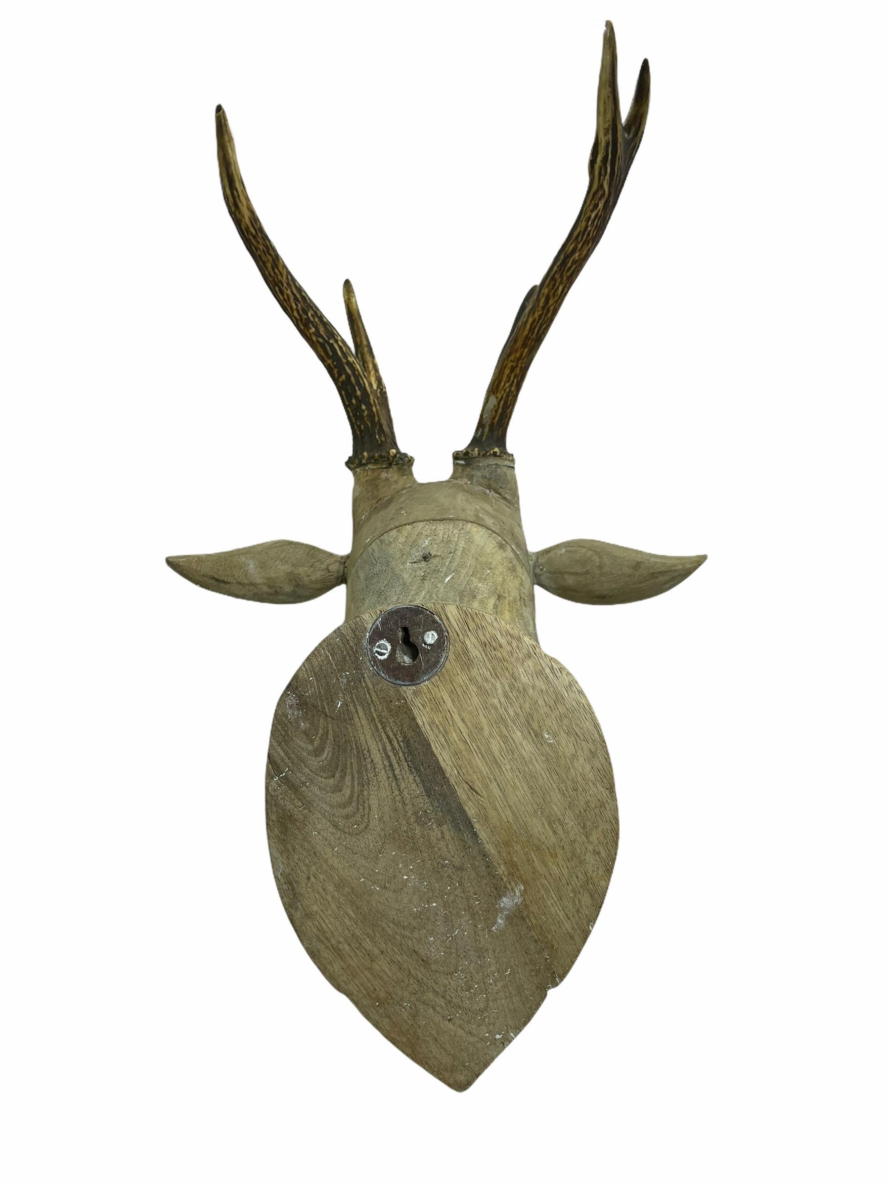 Large Folk Art Carved Wood Deer Head with Real Antlers, 19th Century 5