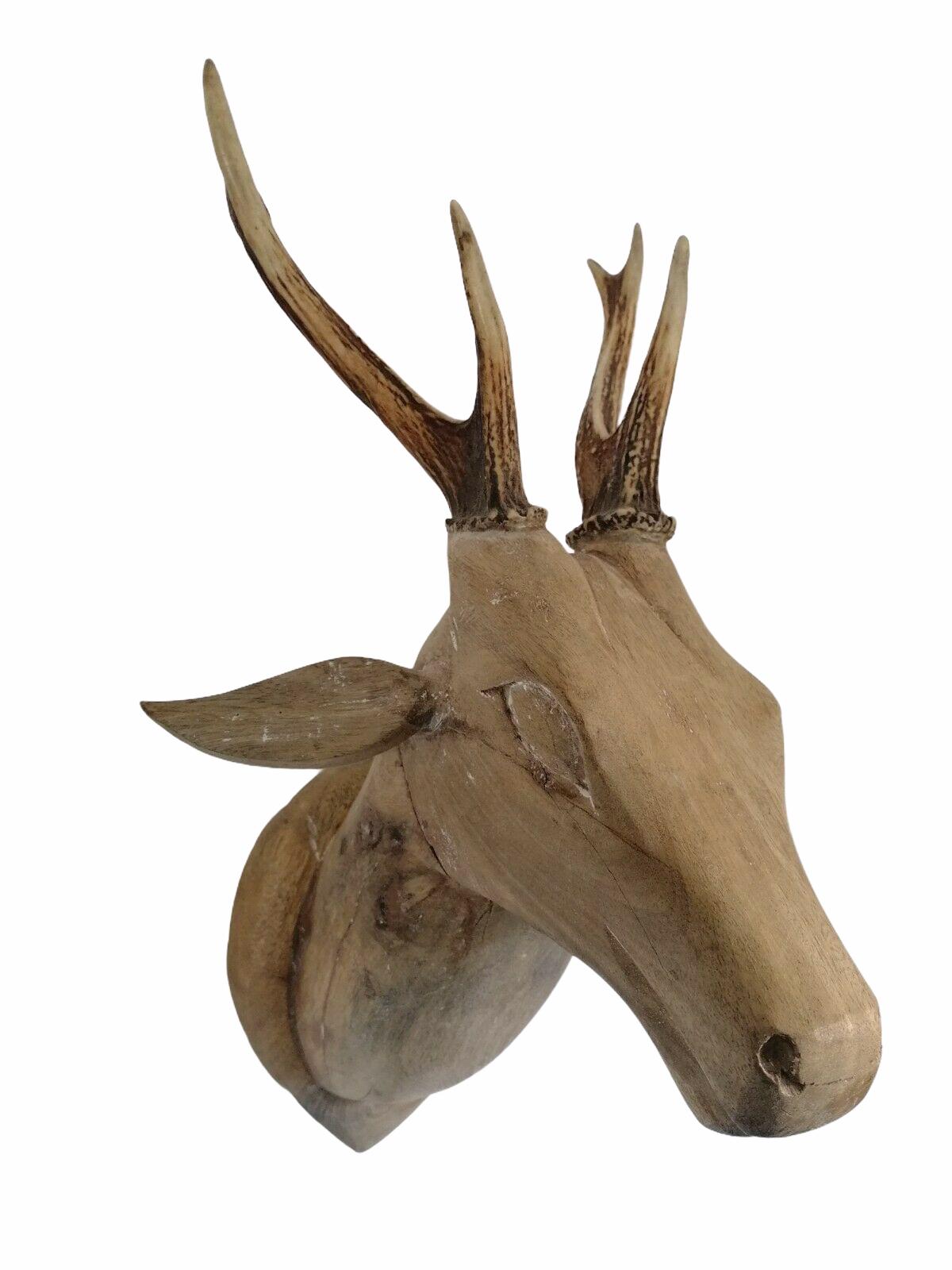 Large Folk Art Carved Wood Deer Head with Real Antlers, 19th Century In Good Condition In Nuernberg, DE