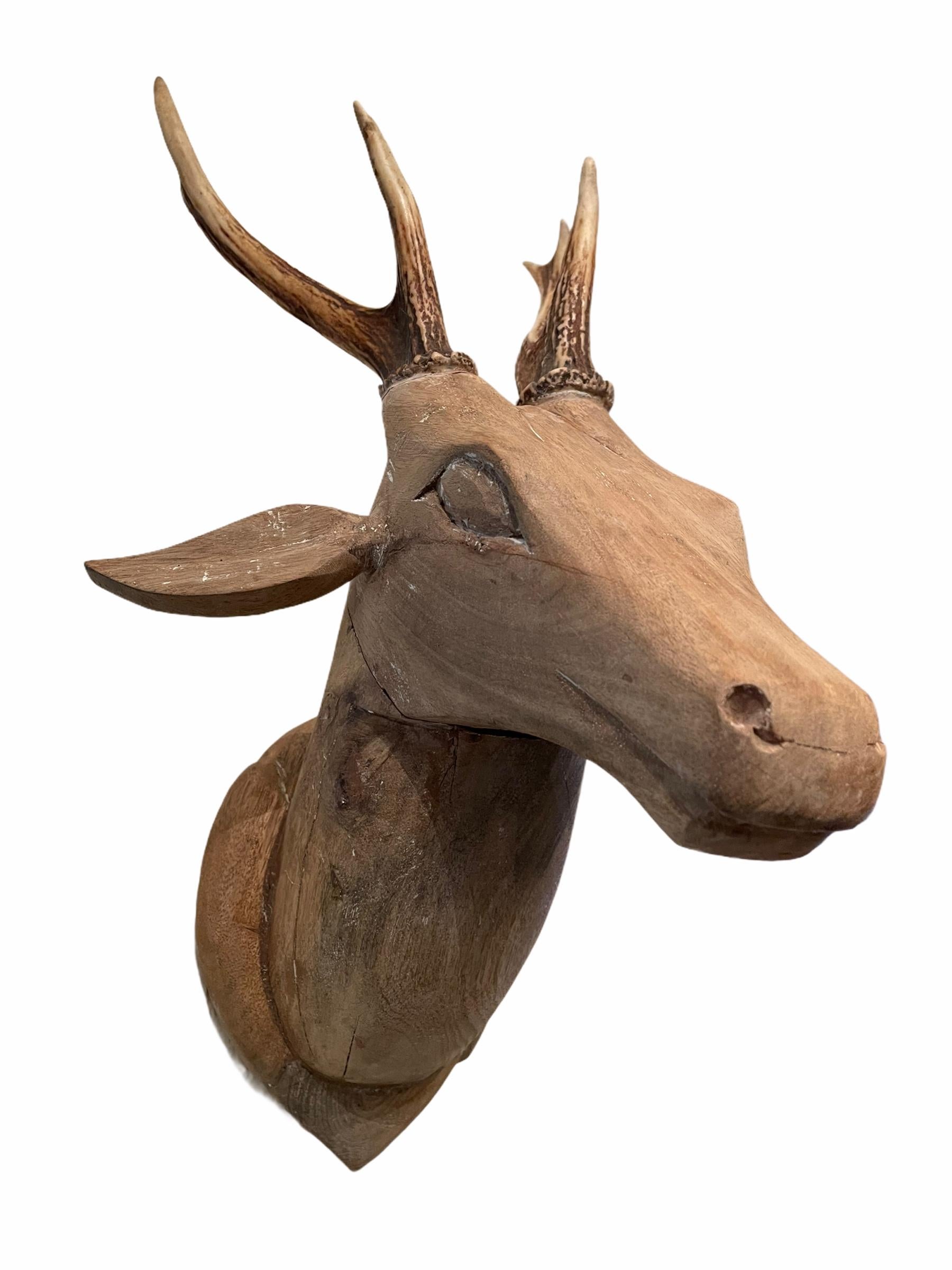 Large Folk Art Carved Wood Deer Head with Real Antlers, 19th Century 1