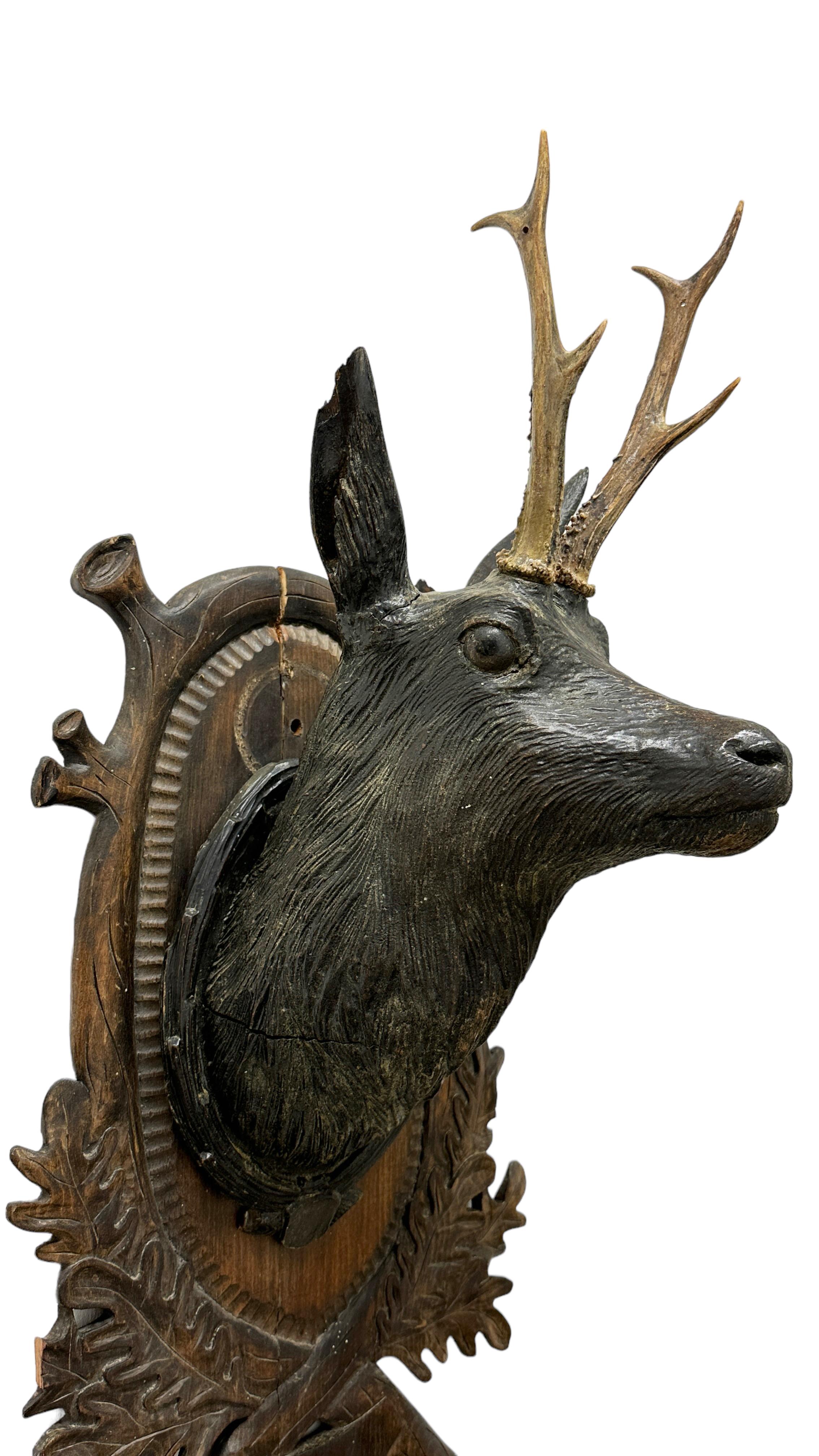 deer head trophy