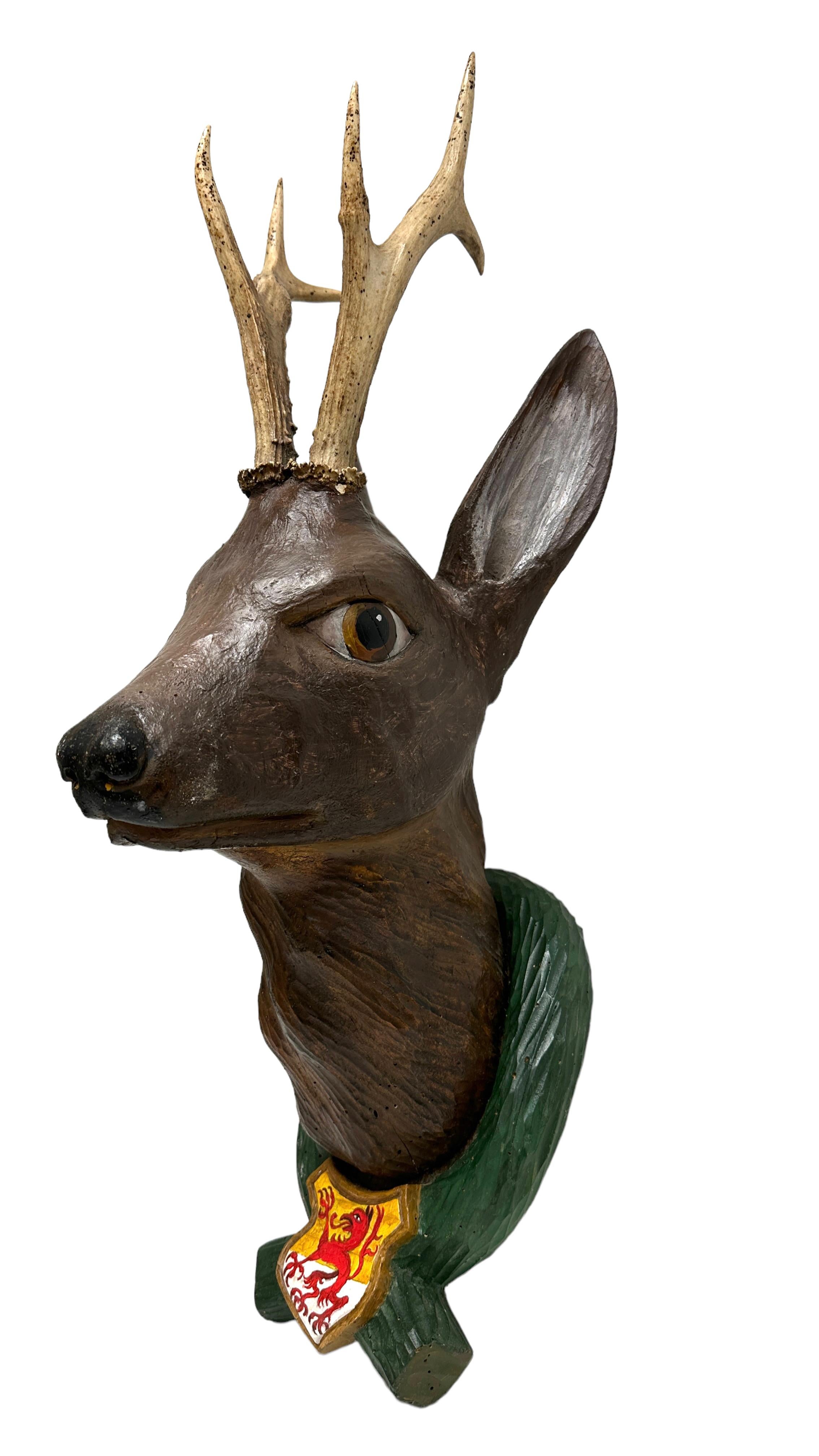 real deer head on wall