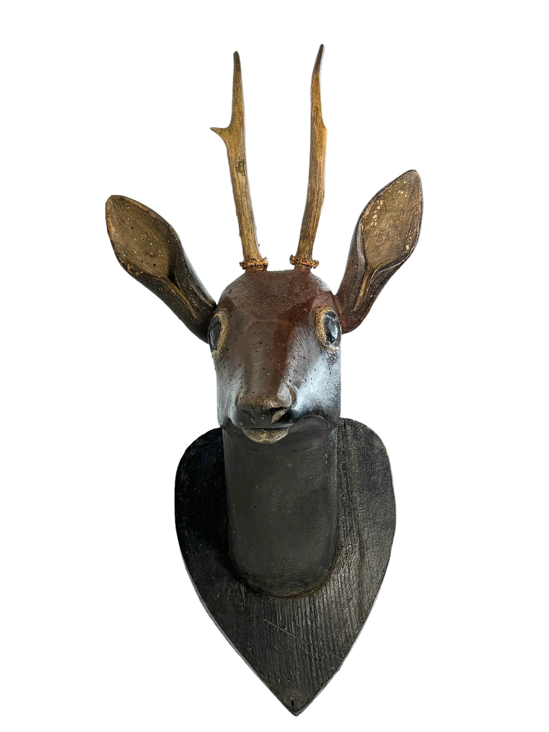 deer head with antlers