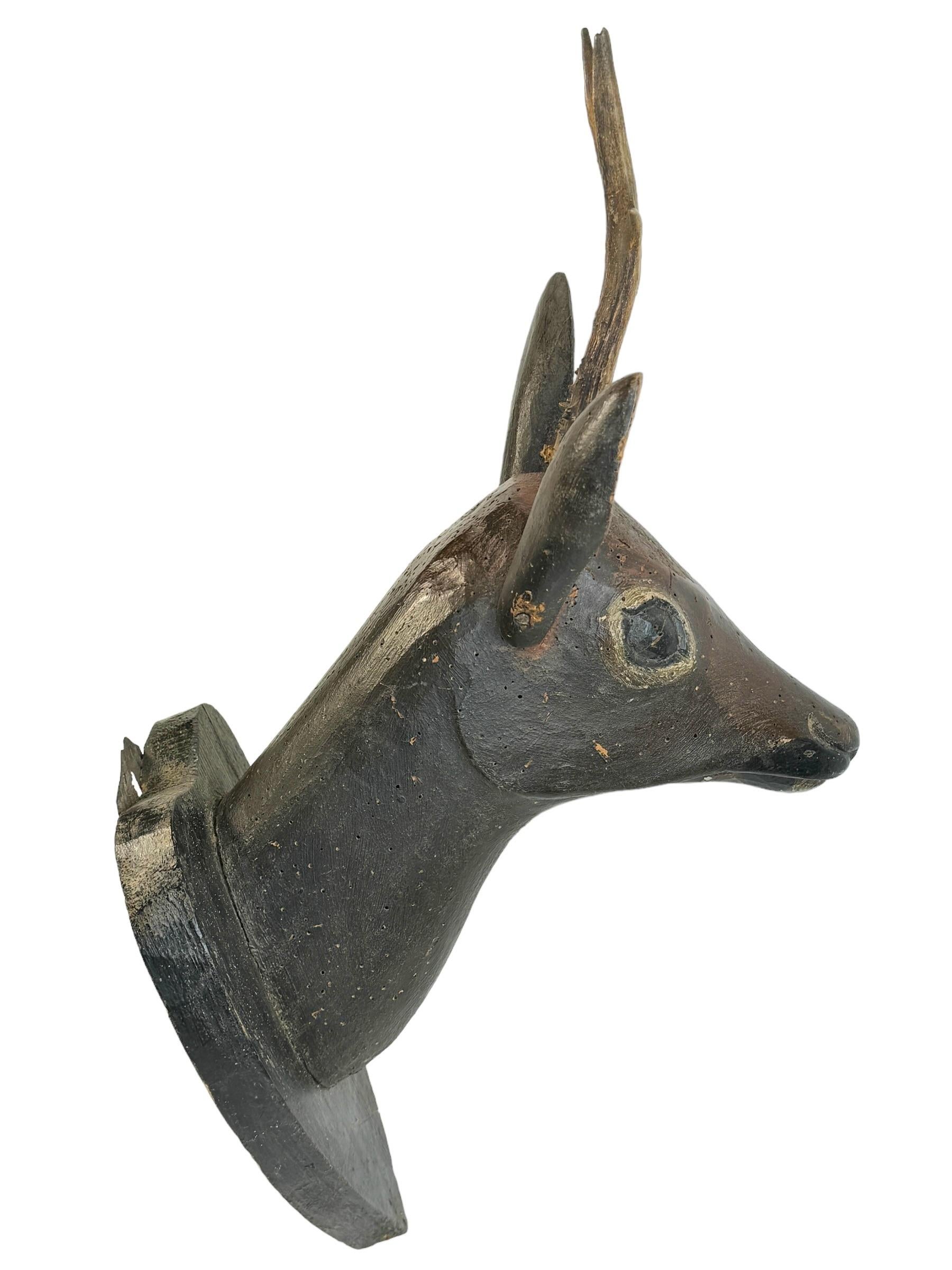 deer with head on antlers