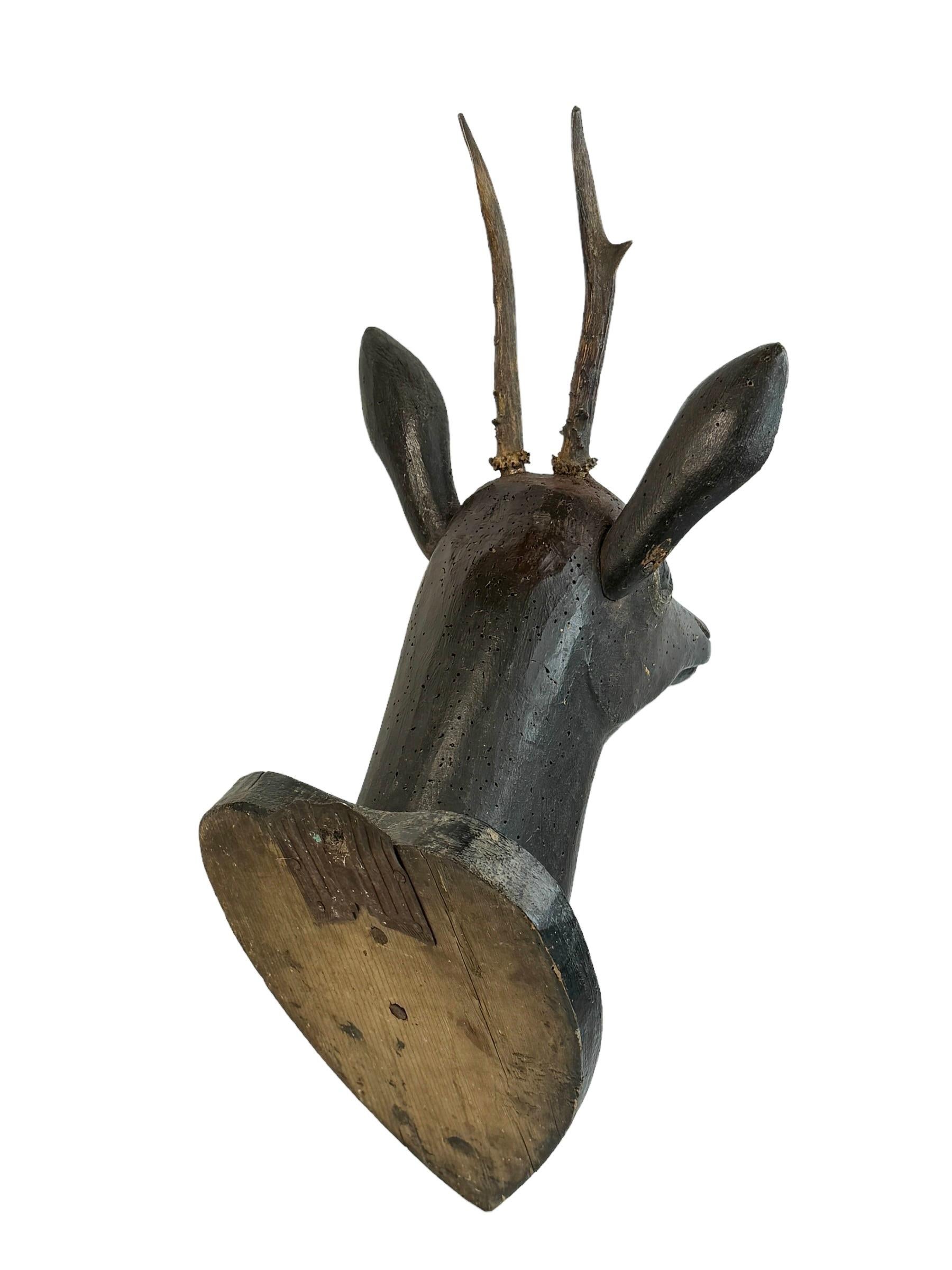 Black Forest Large Folk Art Wood Carved Deer Head with Real Antlers, Austria 19th Century For Sale