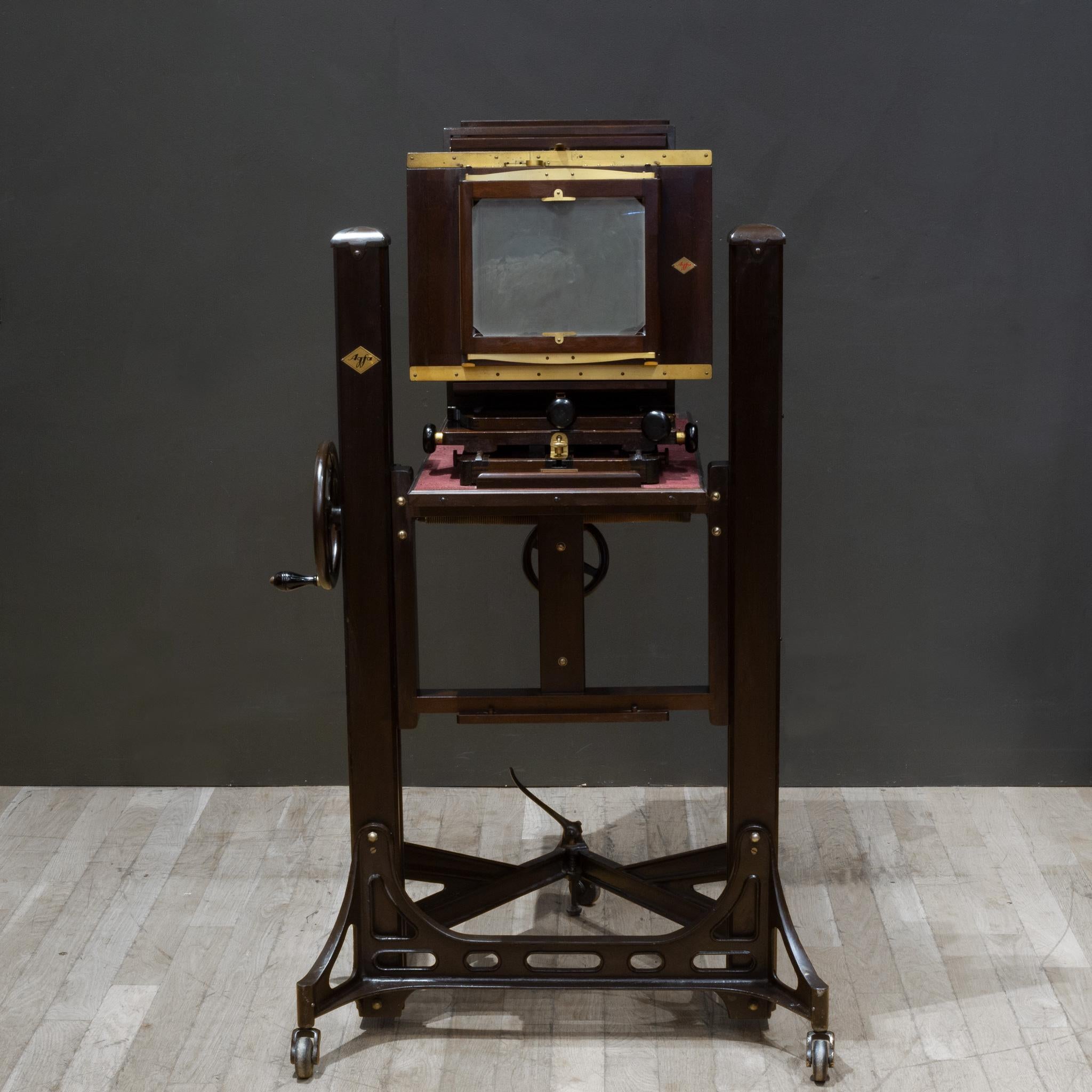 Cast Large Format Mahogany Studio Camera on Adjustable Stand c.1890-1930 For Sale